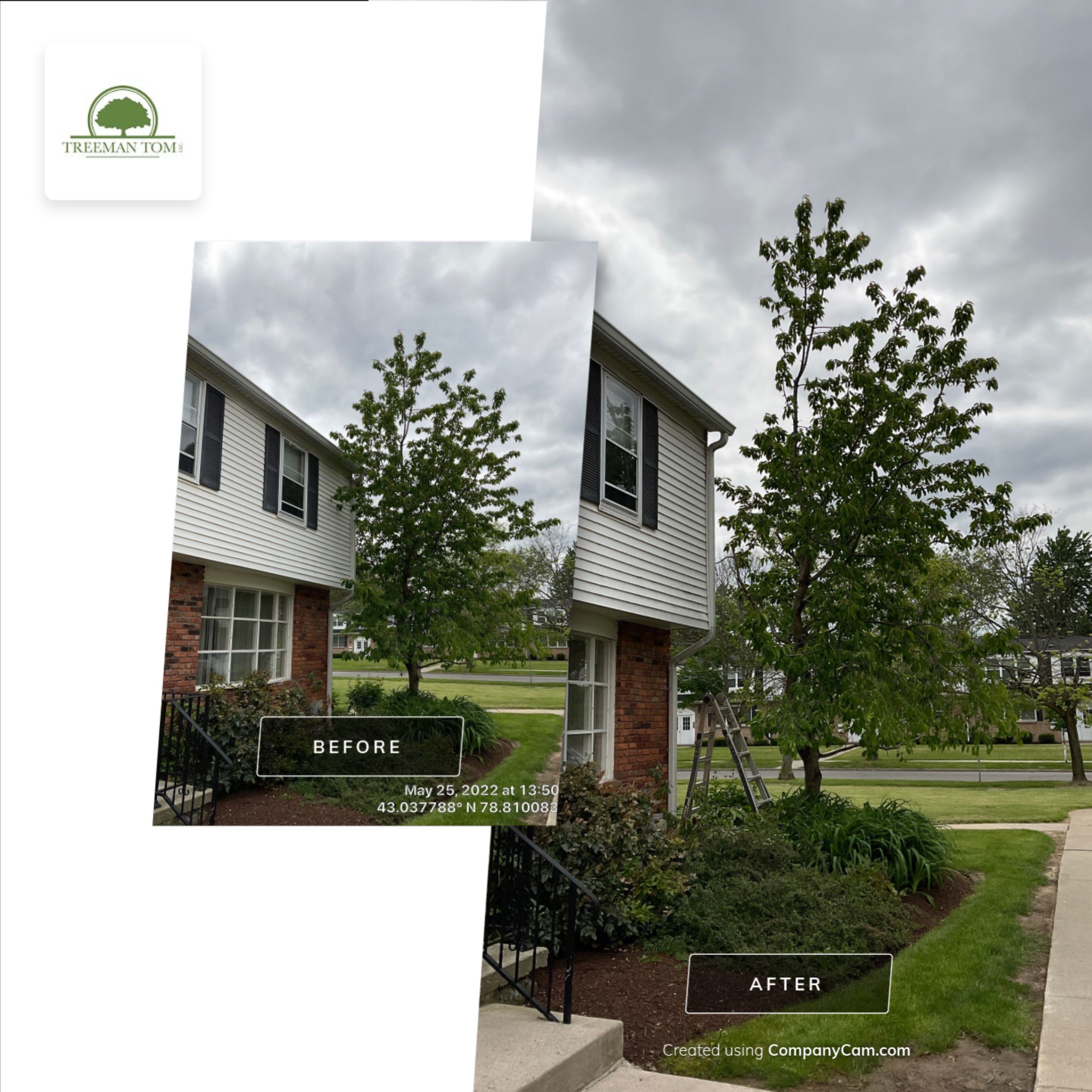 Commercial Project by Treeman Tom LLC