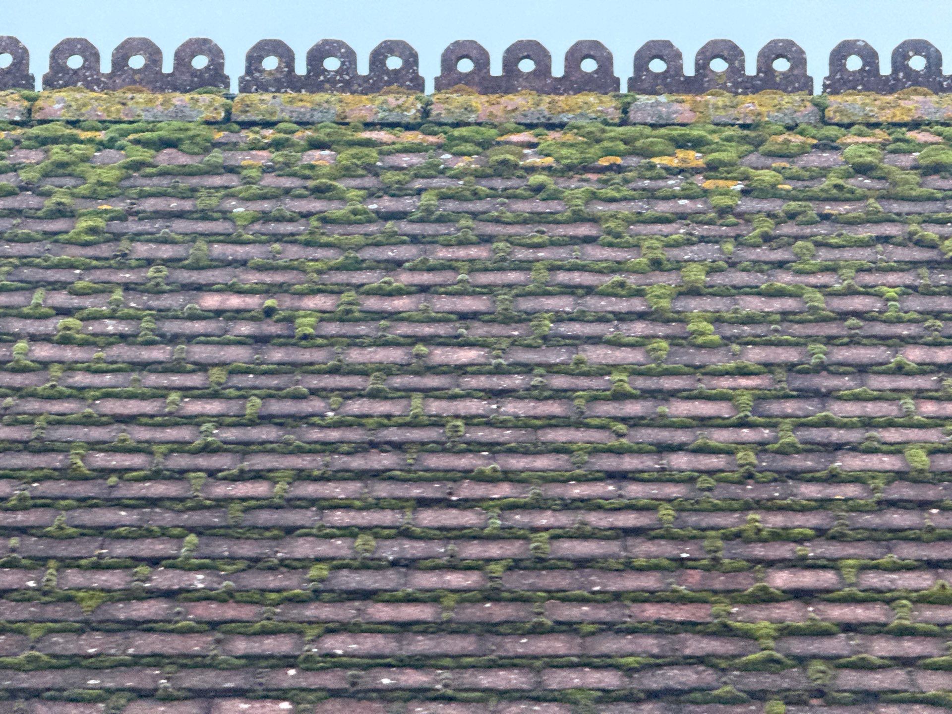 Roof And Render Clean by Ges Exterior Cleaning ltd