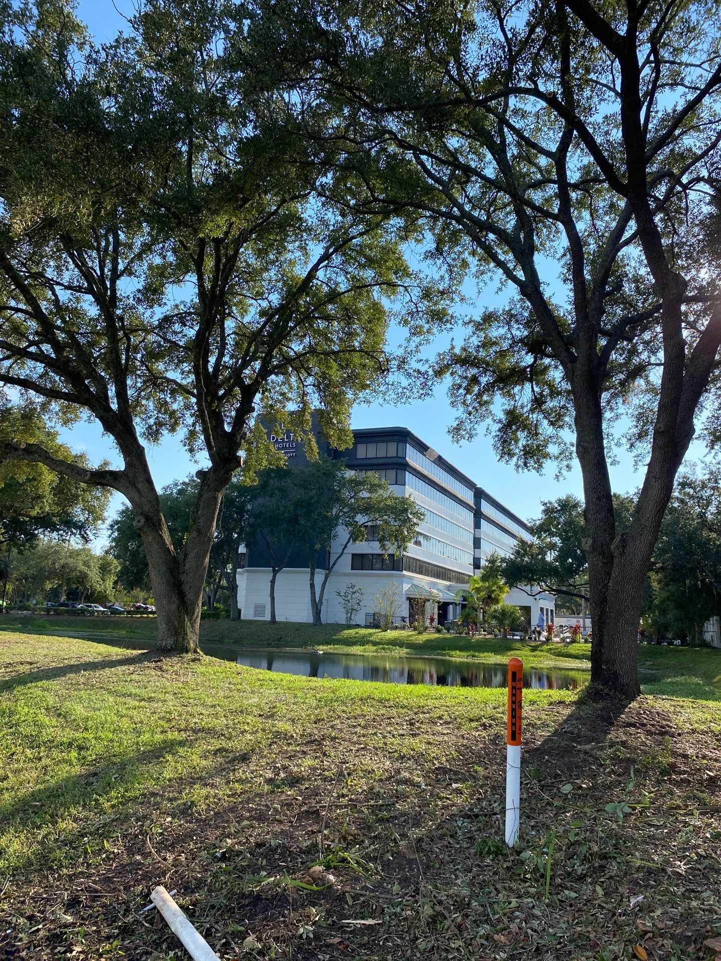 Tree & Shrub Removal | Marriott Hotel by ProGreen Services
