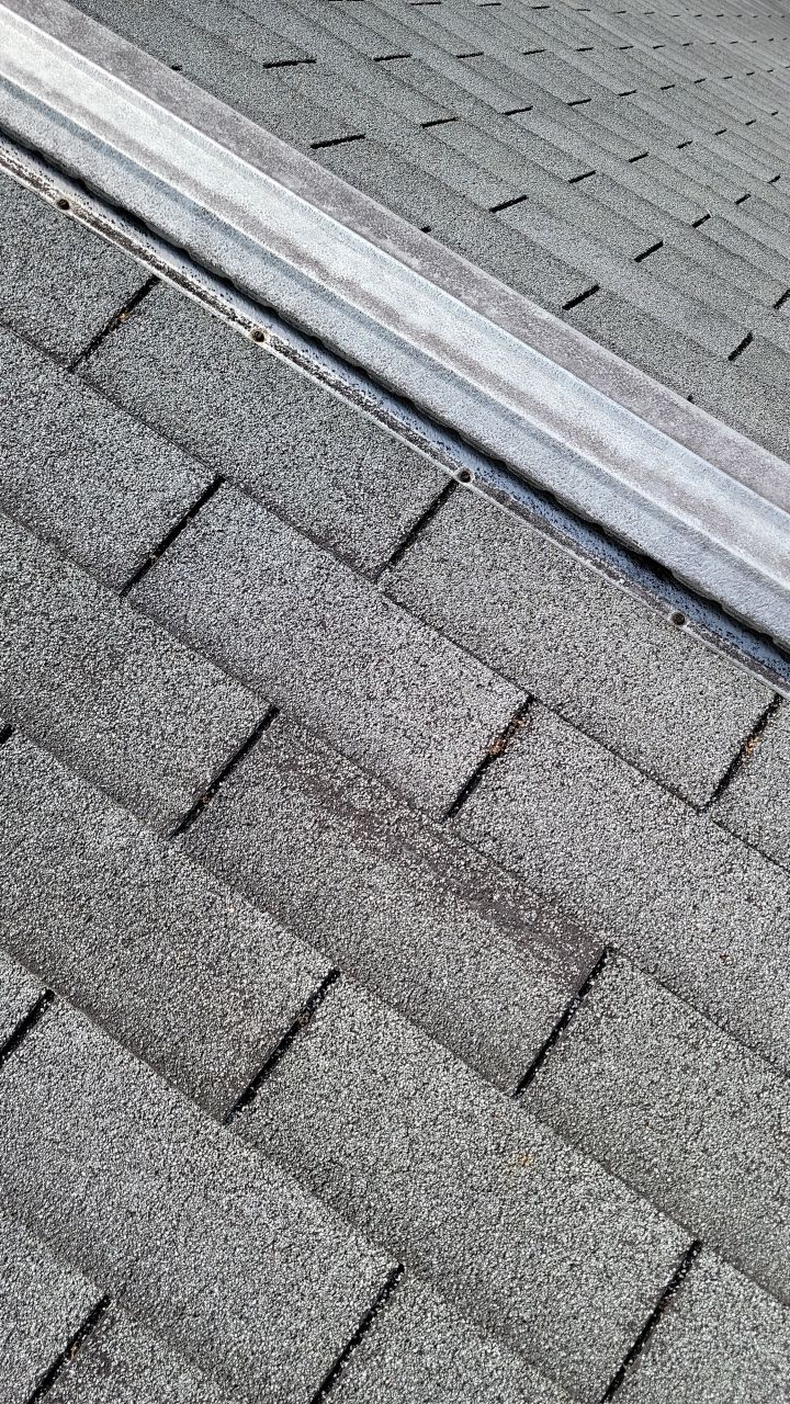 Brand: Atlas Pinnacle Color: Pristine Scotchgarde Pewter Drip: White by Eagle Eye Roofing