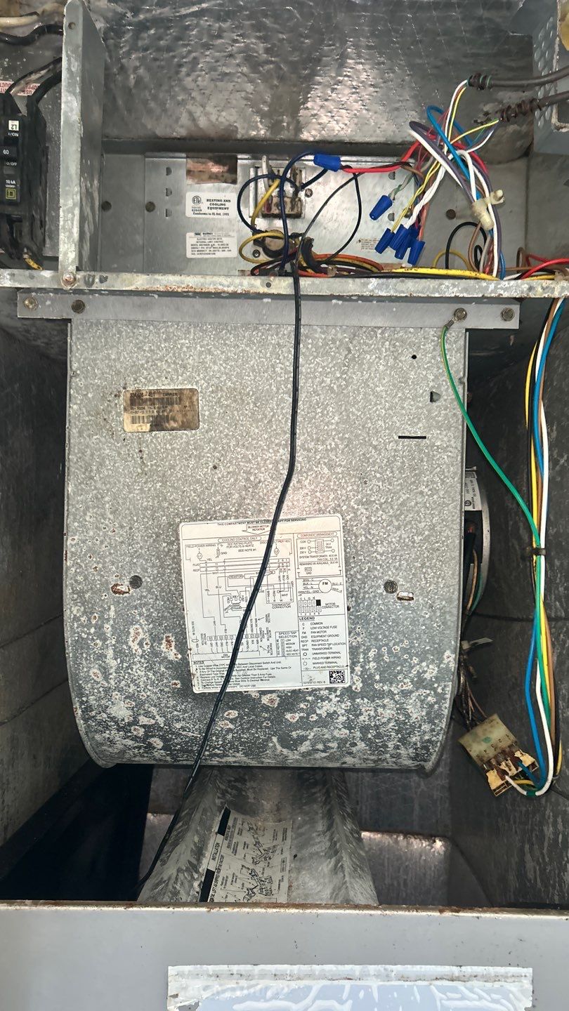 Air Duct Cleaning in Clermont by Hygienic Air, Inc