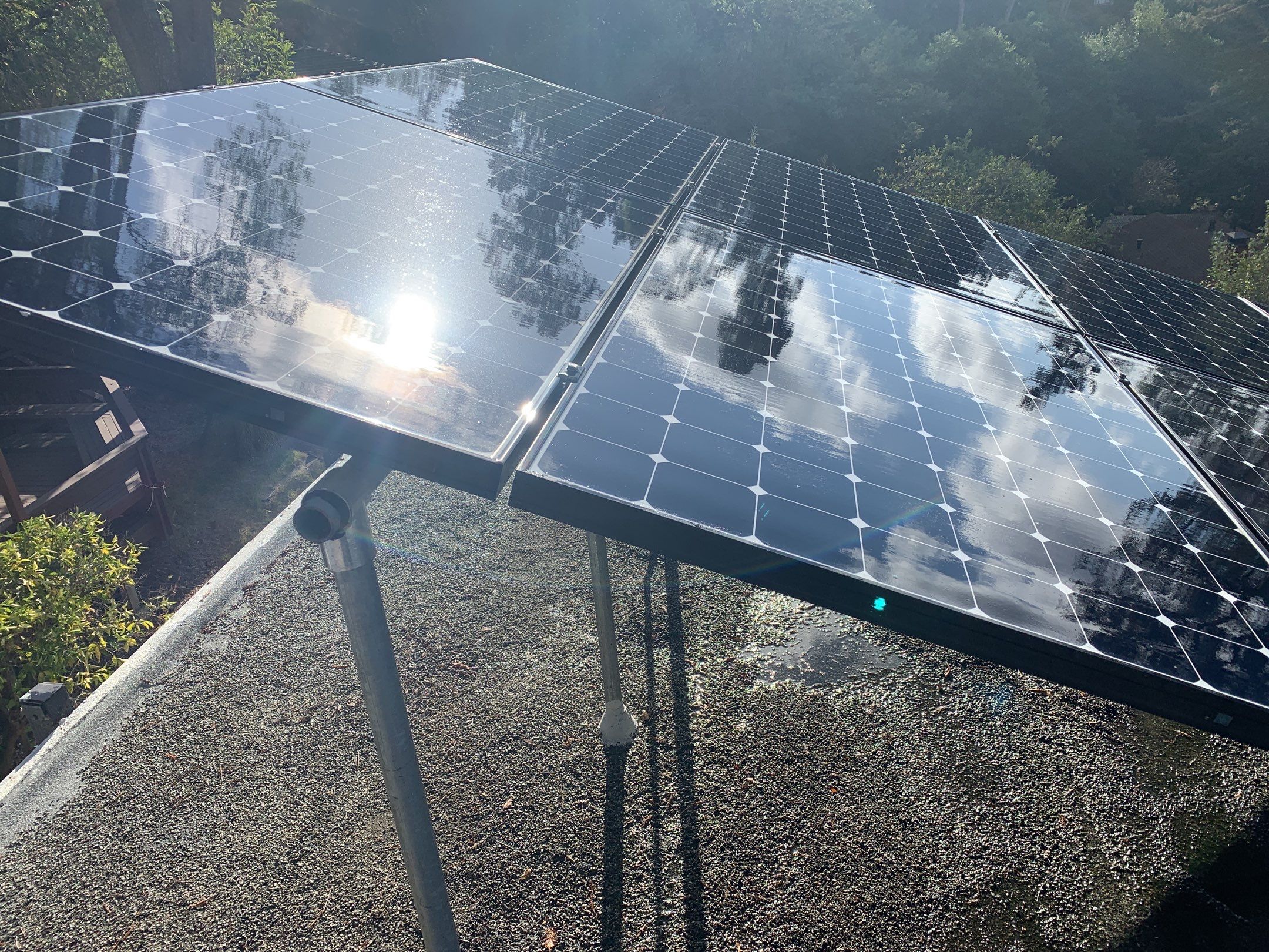 Elise Hurwitz’ Window Clean by SpotFree Window Cleaning