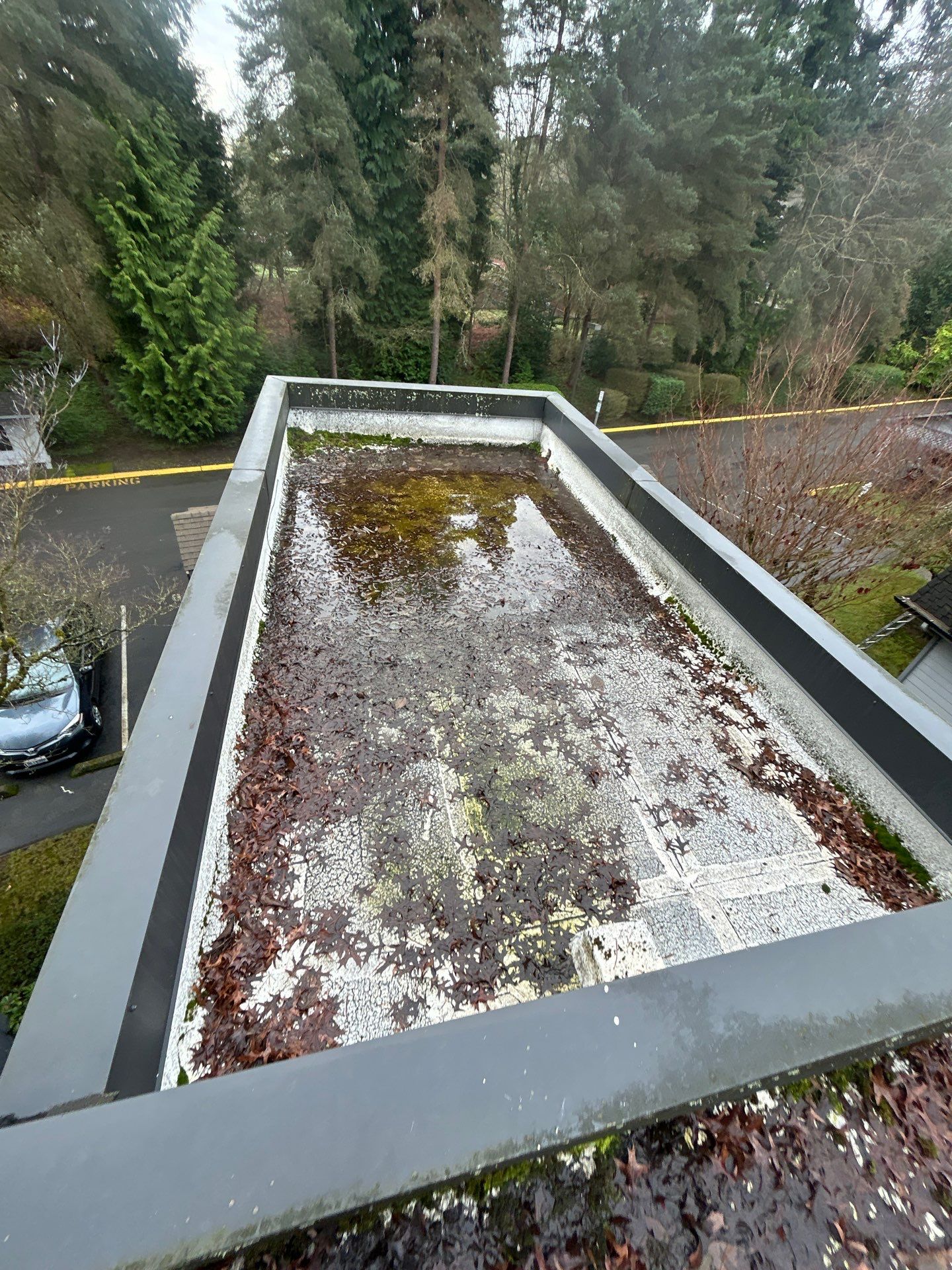 Project in Kirkland by Connolly Construction Company