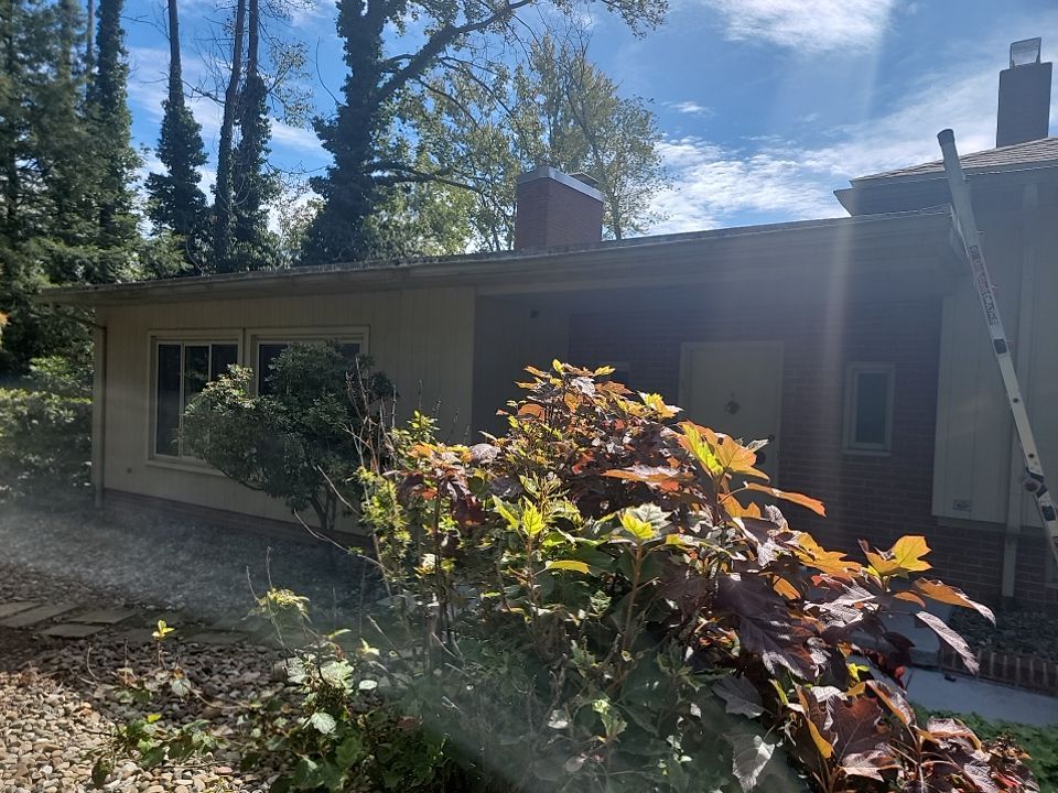Ryan Kelly by Silver Leaf Contracting 