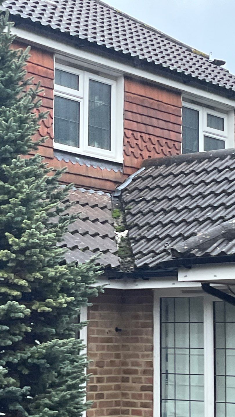 Roof and Patio Cleaning using Honda 15lpm Low Pressure Washing Machine by Ges Exterior Cleaning ltd