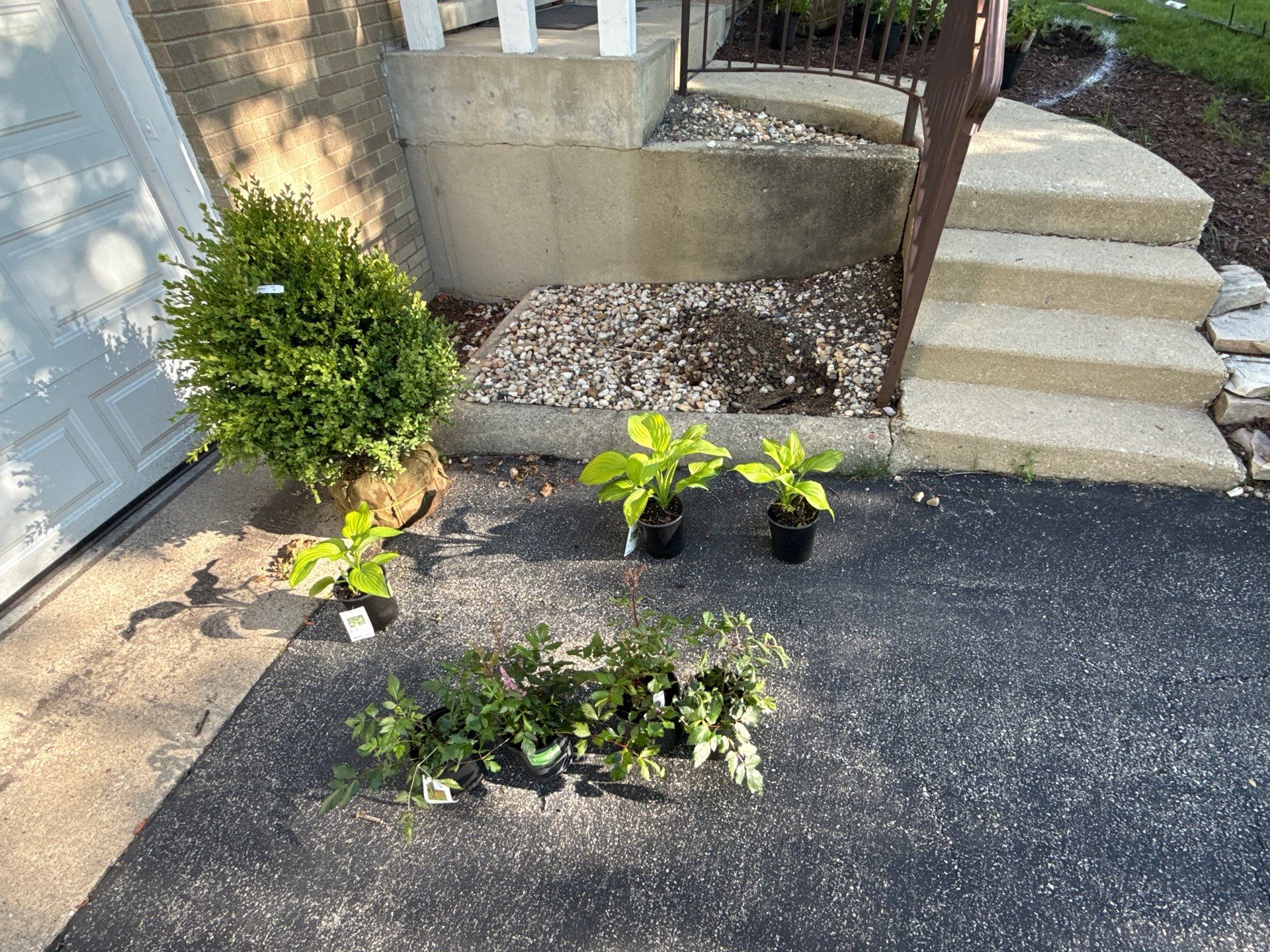 Amy N. - Arlington Heights, IL by A&N 