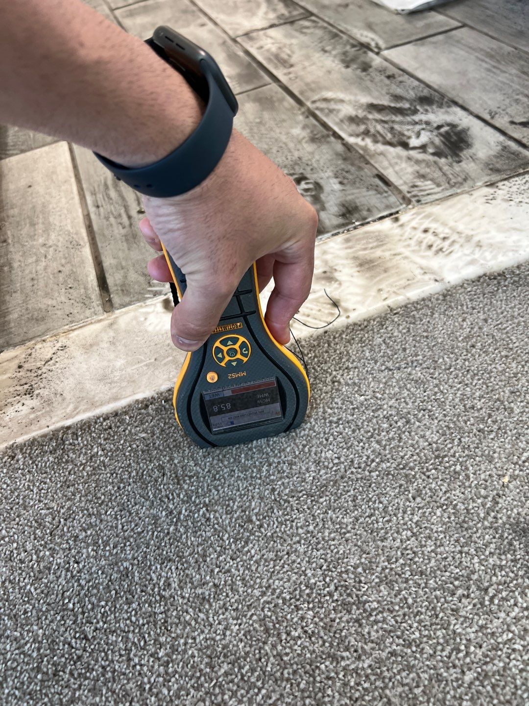 Project in Novi by EzDry Water Mitigation & Property Restoration