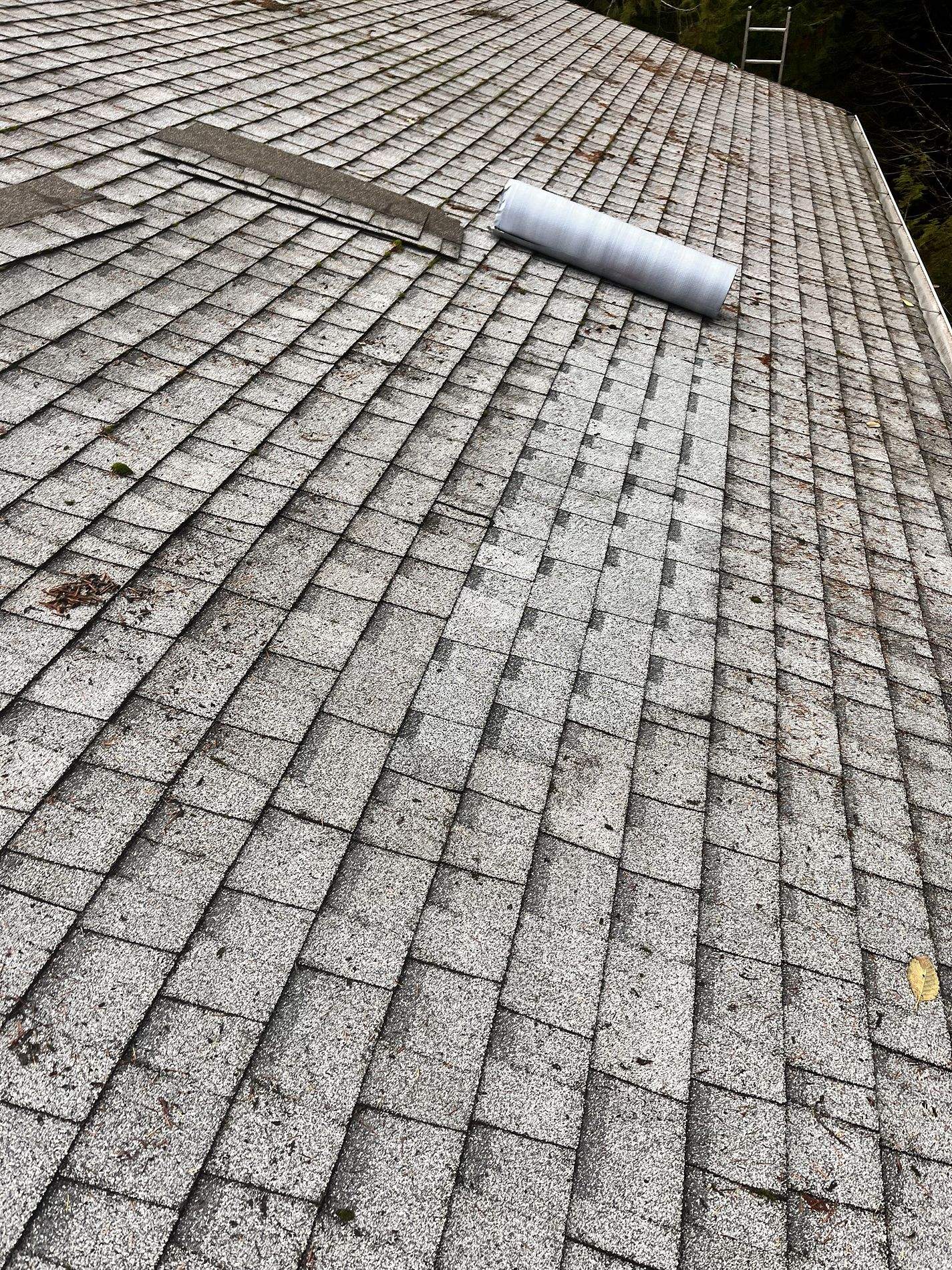 Residential Roof Repair in Gig Harbor, WA by Hanley Construction