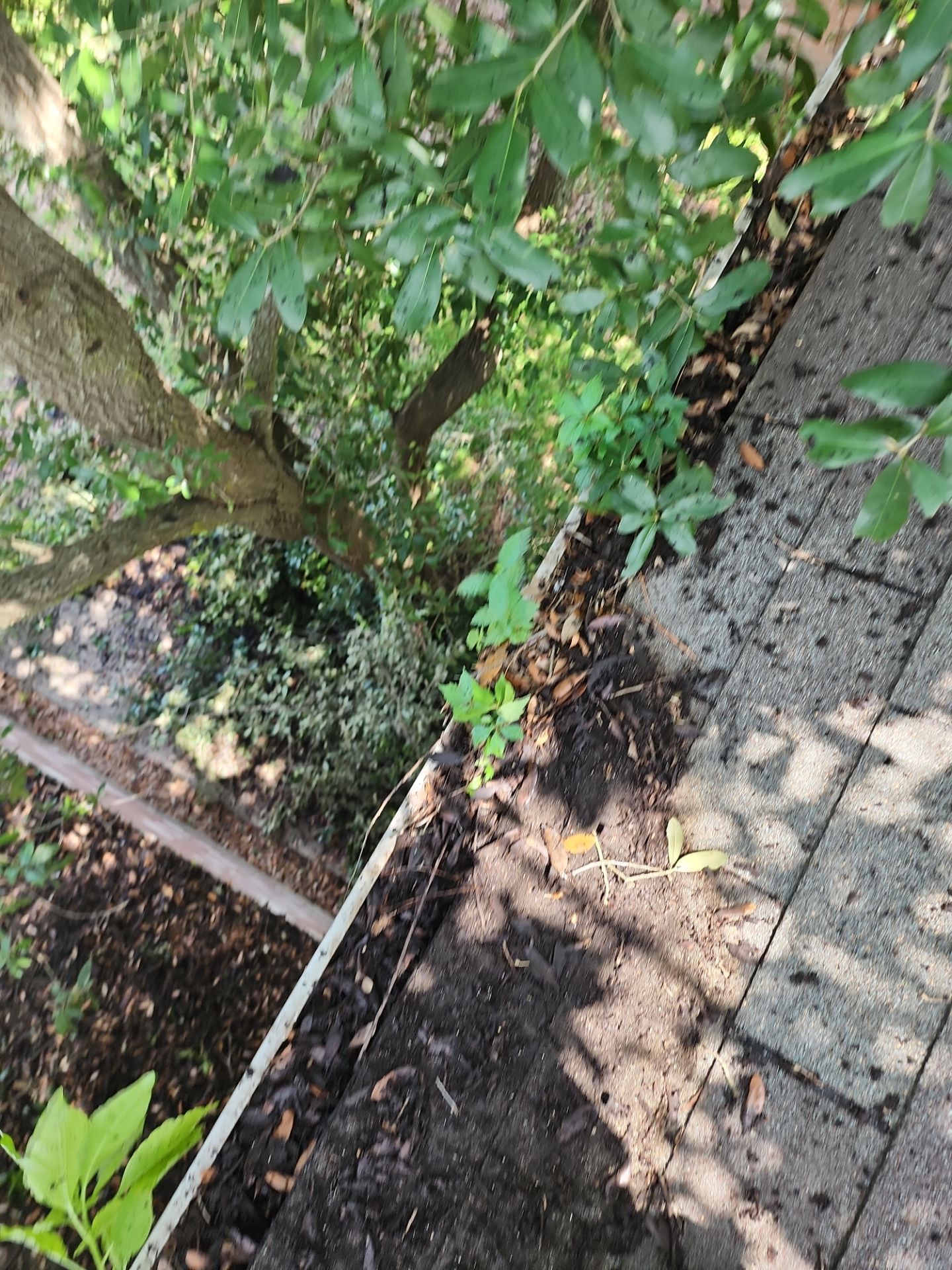 Residential Roofing Repair using Owen's Corning Duration (Lifetime) Shingles by Roof Repair Services LLC