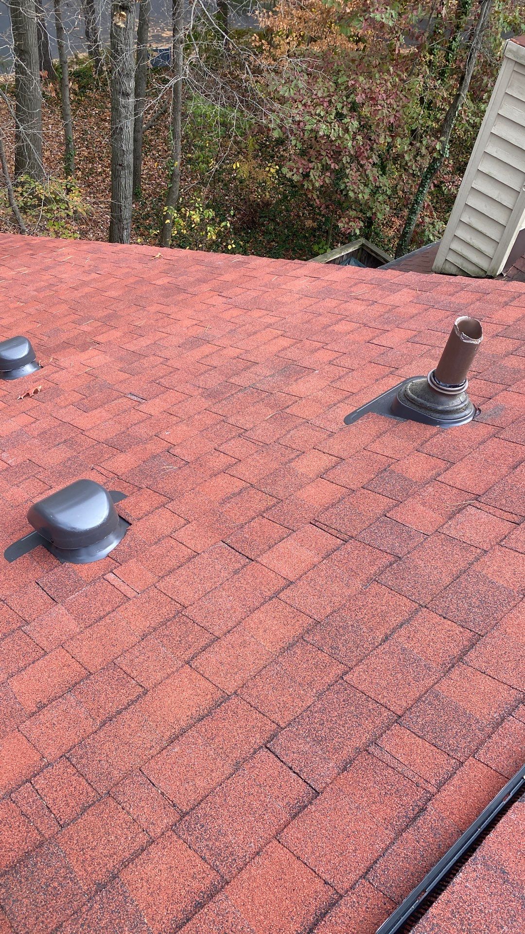 Reston: Residential Roof Replacement with CertainTeed Landmark Pro Designer Shingles in Max Def Red Oak by RM Banning, Inc.