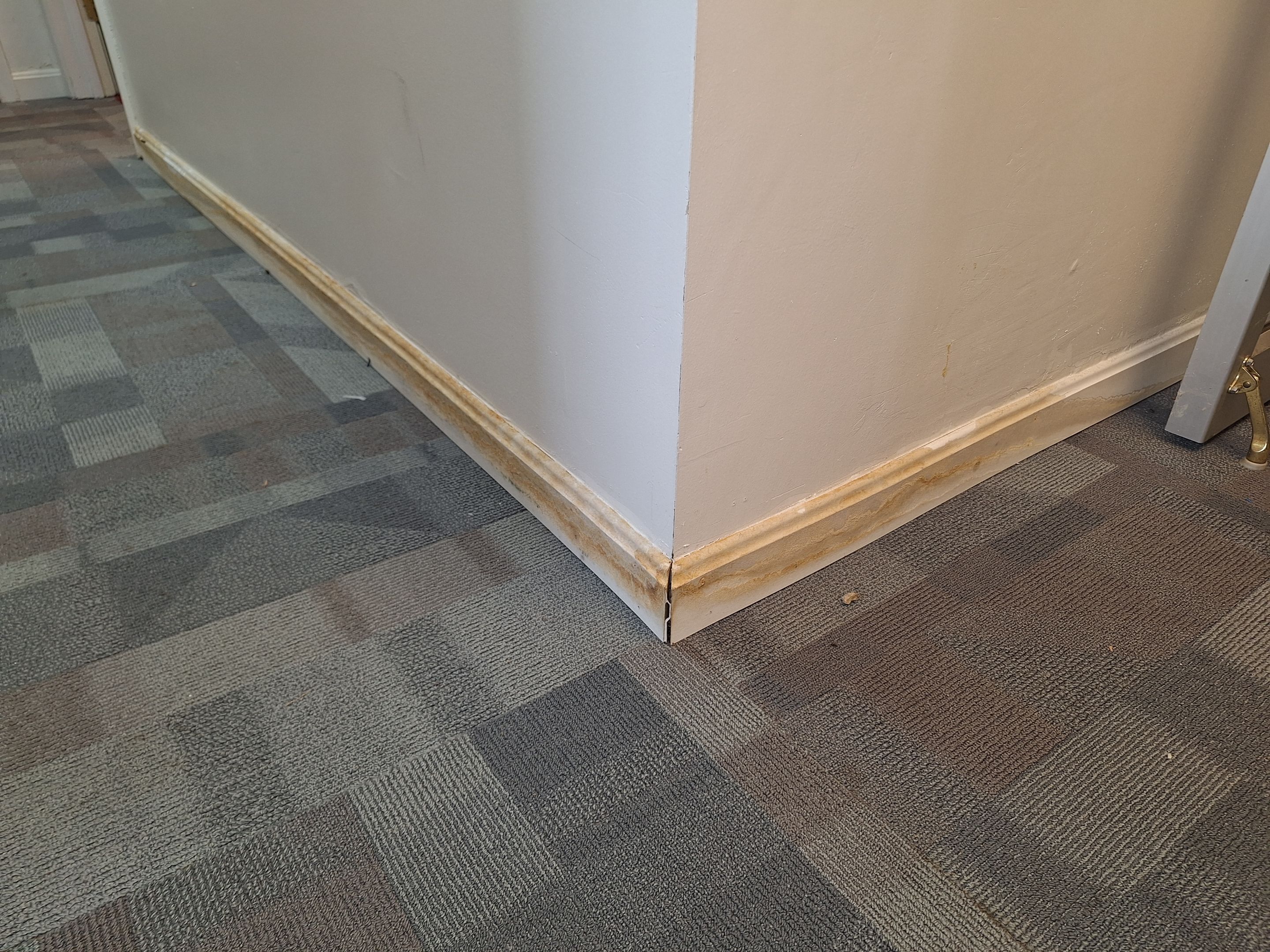 Basement Remediation by ANR Restoration