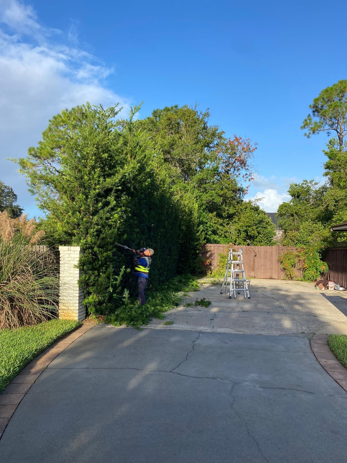 Deerwood Residence | Extreme Clean Up by ProGreen Services