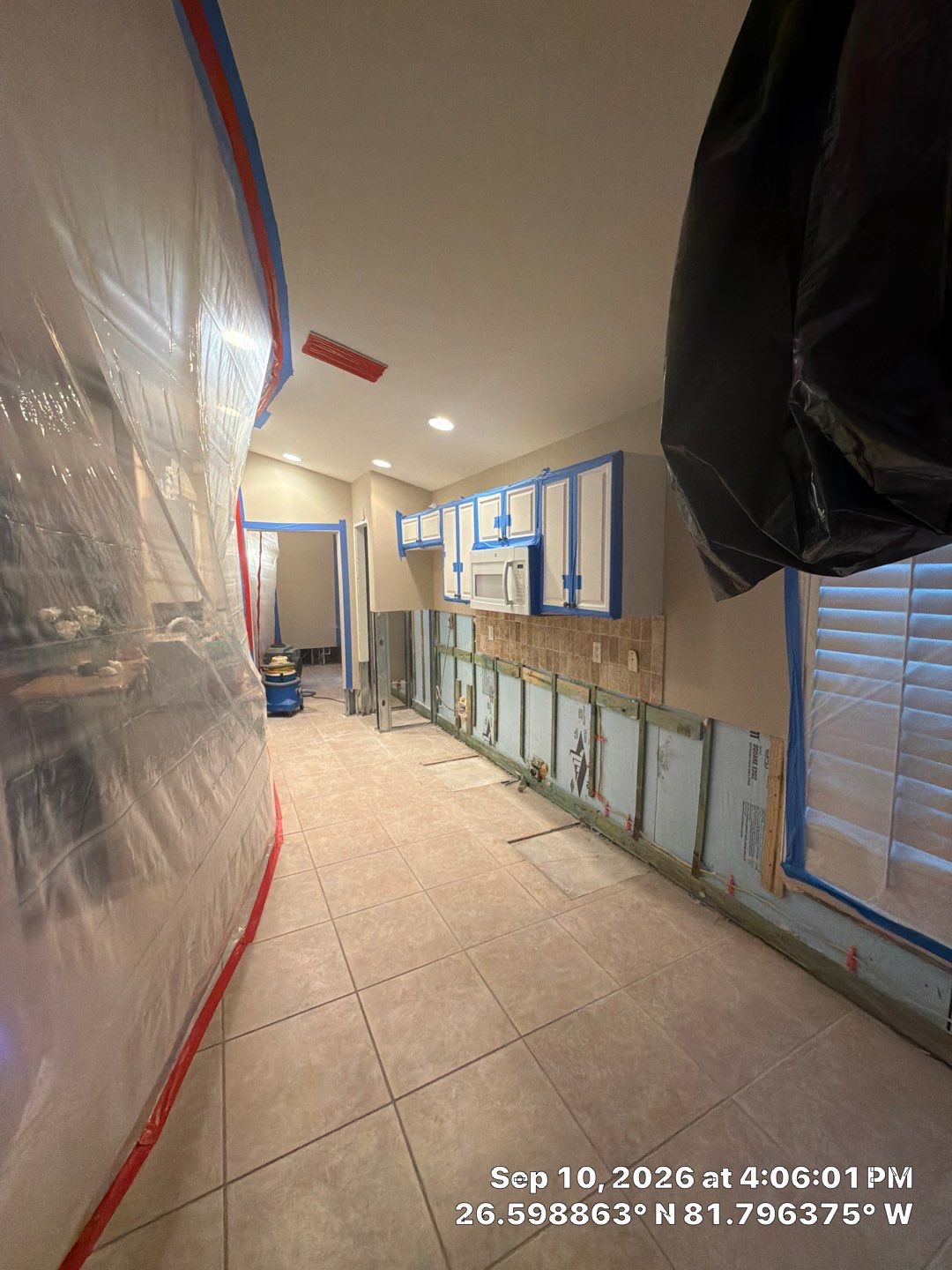 Fort Myers Water Damage Restoration and Professional Mold Remediation by Microscope