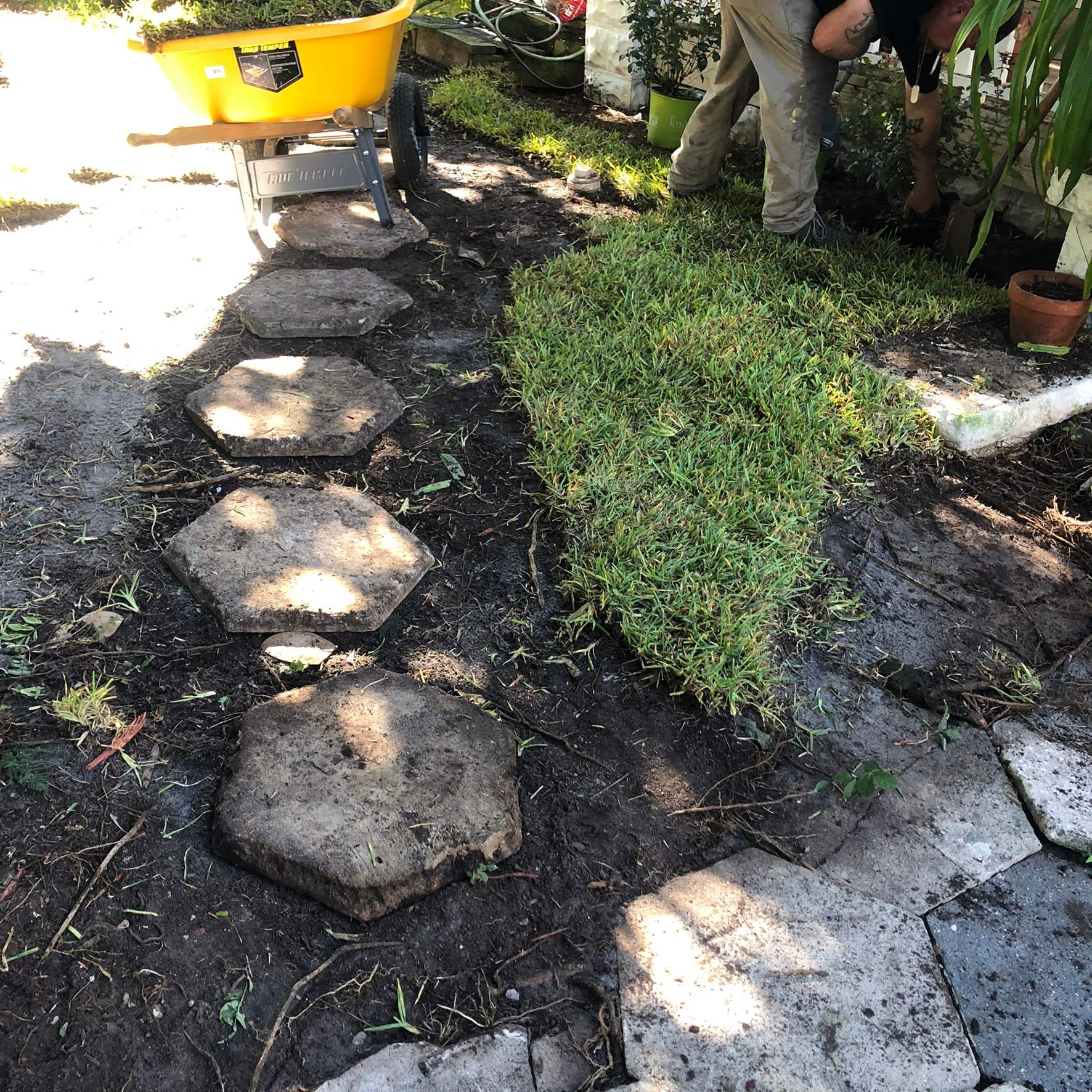 Extreme Clean Up - Landscape Install | Residential by ProGreen Services