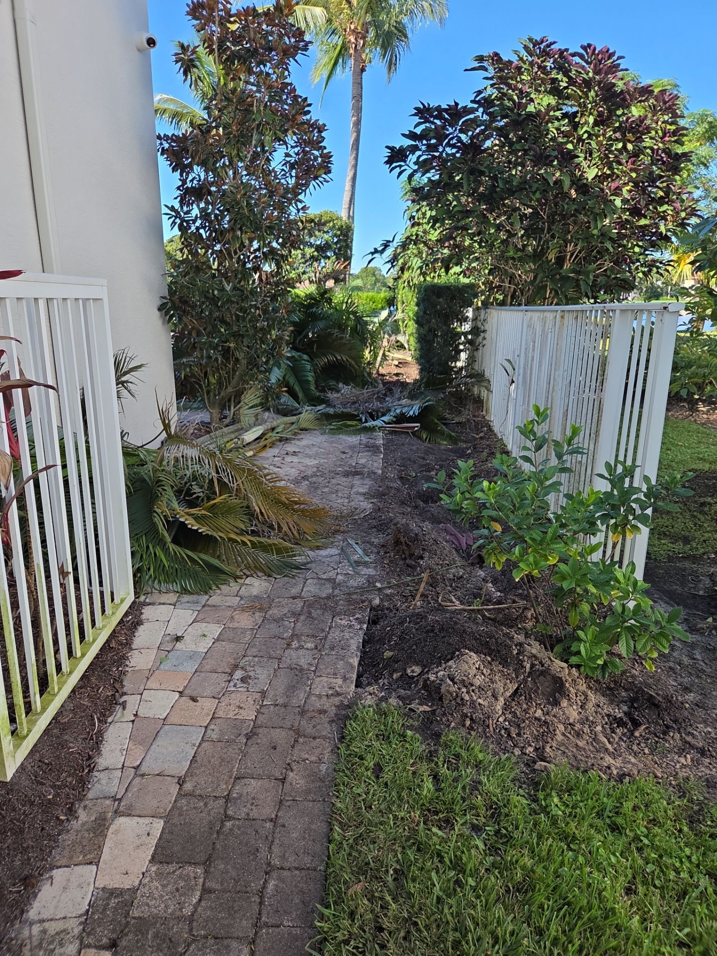 Hammock Creek Estate | Phase 1 – The Art of Precision Removal by Alpha Zeta Enterprises Inc