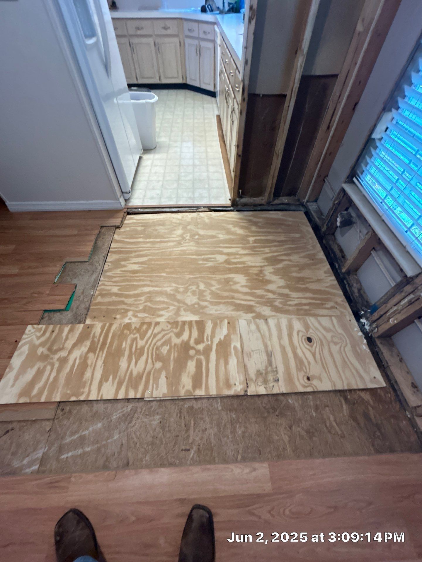 Mold Remediation Palmetto by Ampm Restoration Services 