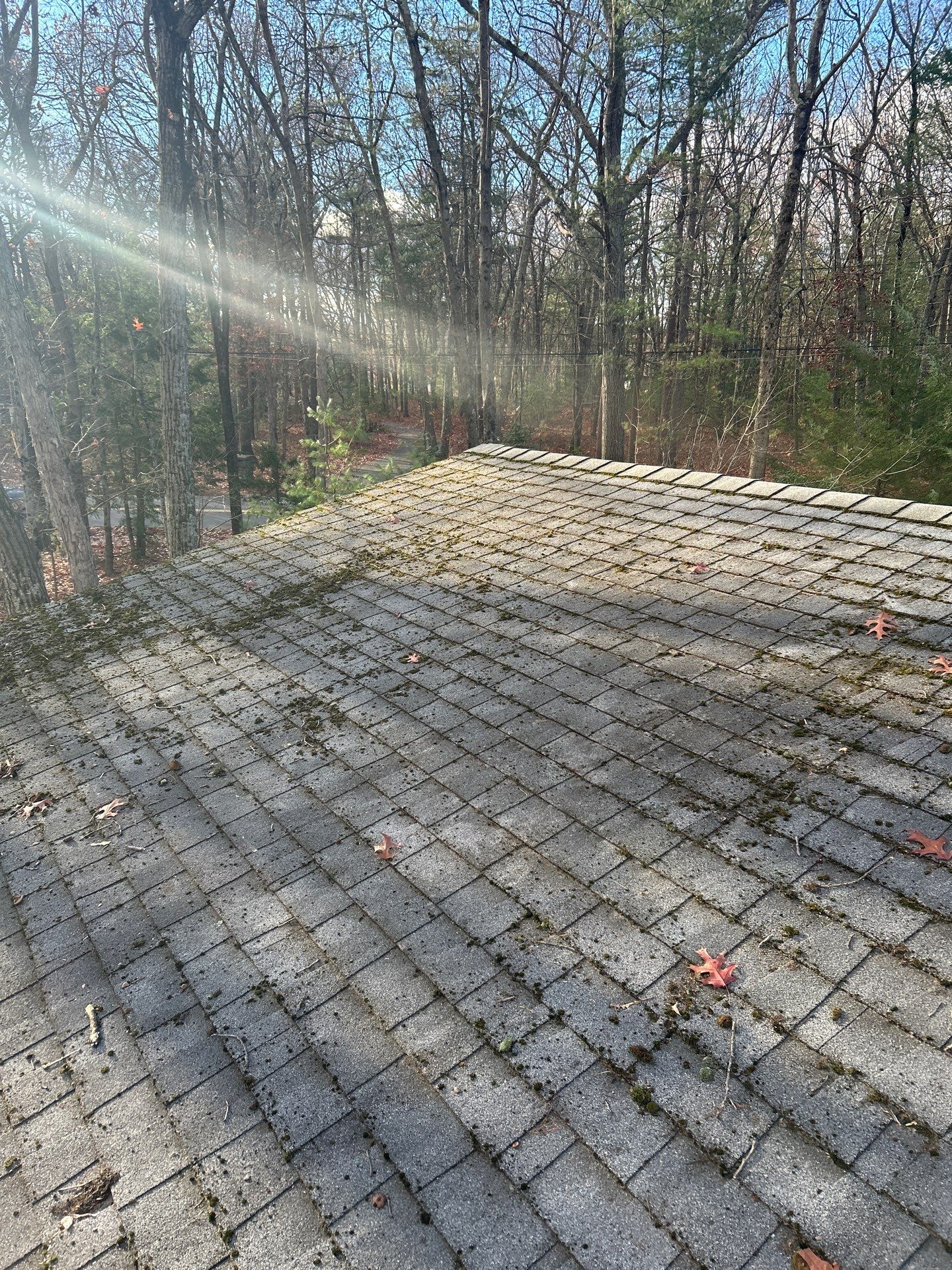 Roofing & Skylights | Concord by Mighty Dog Roofing of Greater Middlesex County