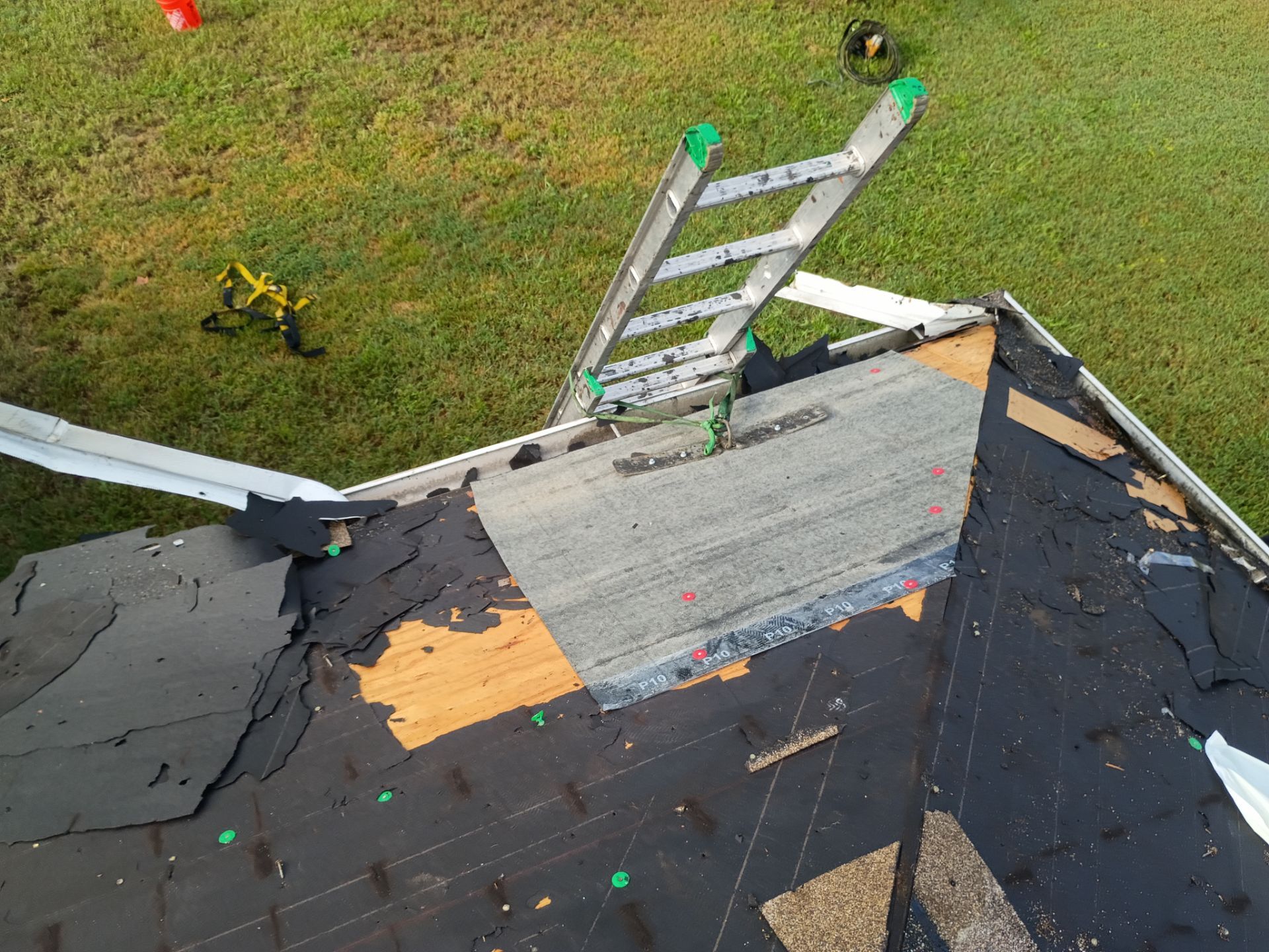 Deltona Roof Replacement Featuring Atlas Pinnacle Sun in Cool Coral Canyon by Pinnacle Roofing Group