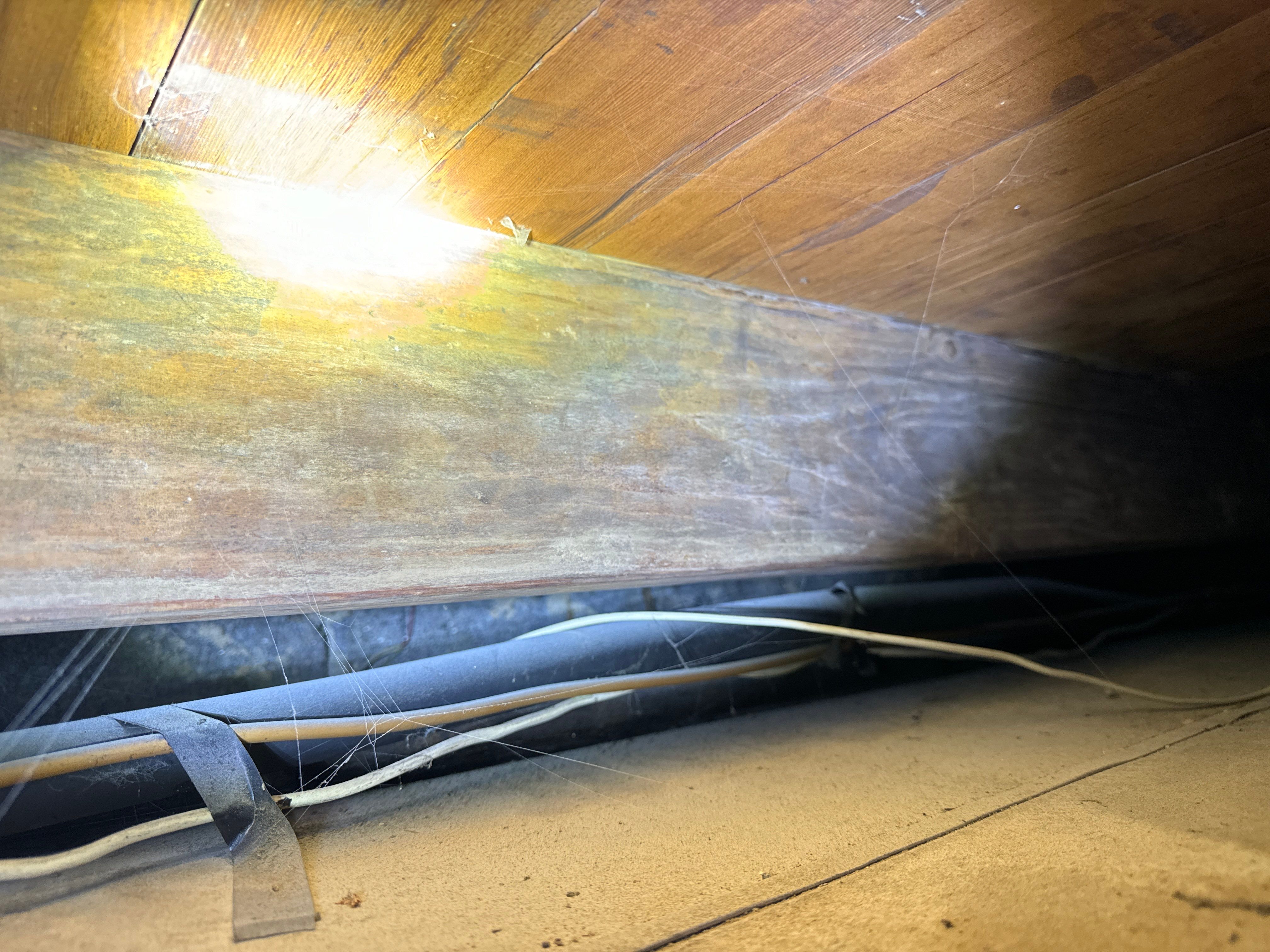 Interior French Drain & Mold Remediation Little Falls NJ by Pure Service Pro, LLC 