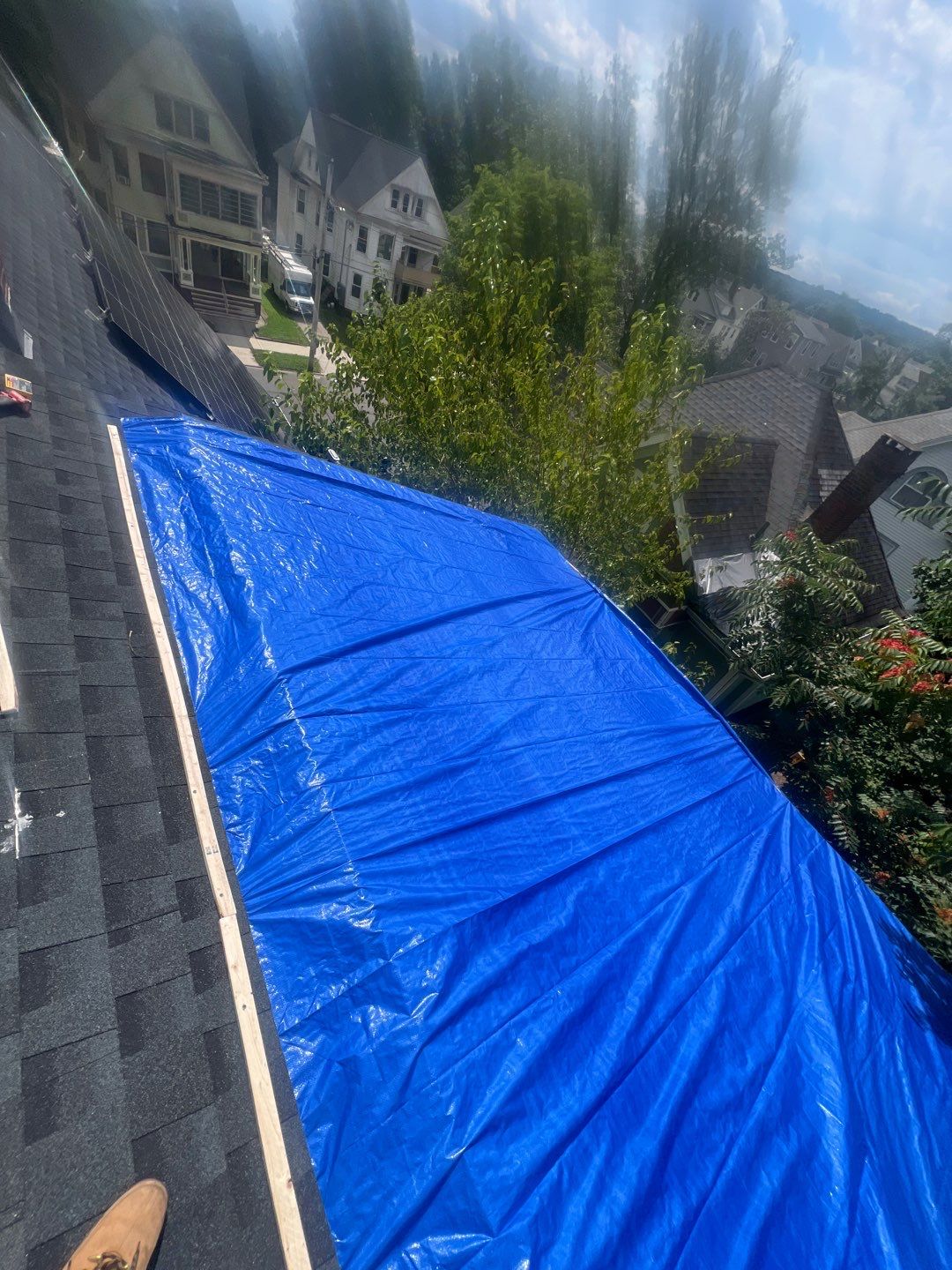 Silver Birch Shingles by Reimagine Roofing