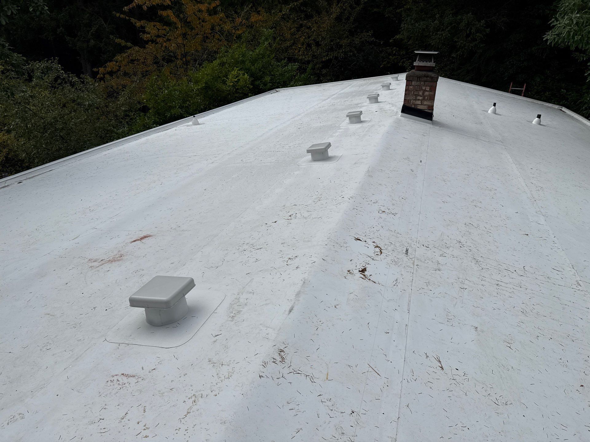 Seattle WA, GAF Everguard TPO  by Proline Roofing & Restoration LLC