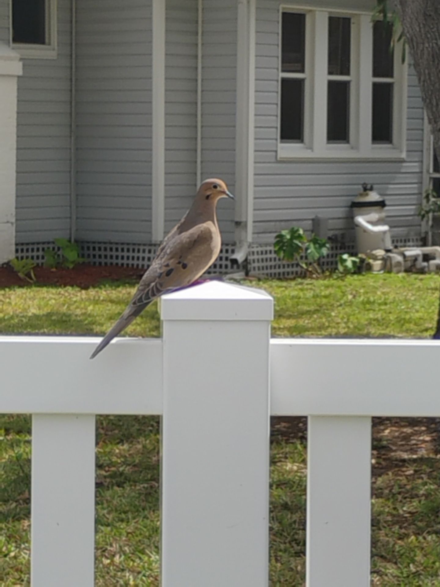 Vinyl Fence for Valerie's House by True Fence LLC