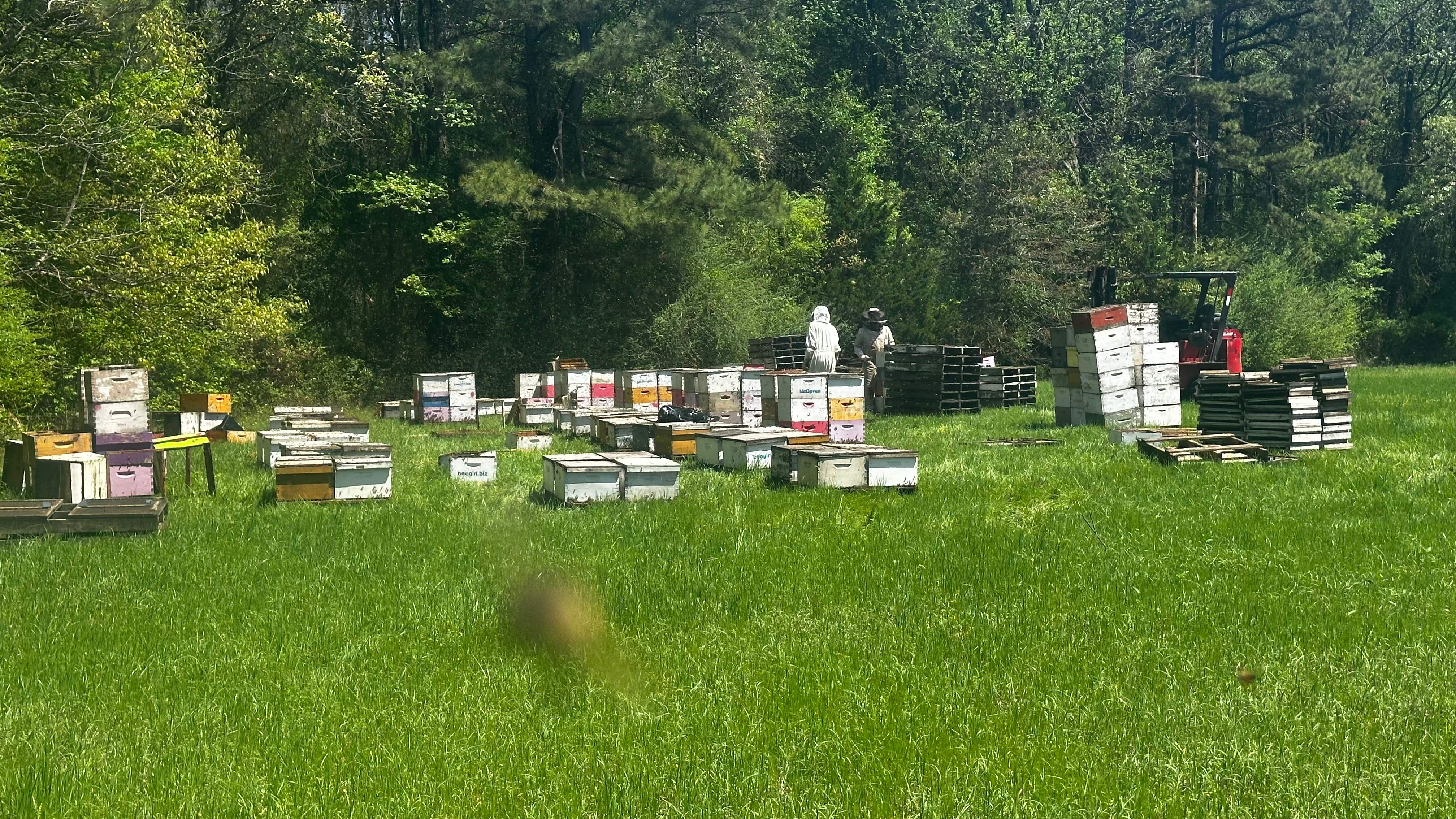 Traylor's Hay Meadow Apiary by Rockwall Honey Bee Company