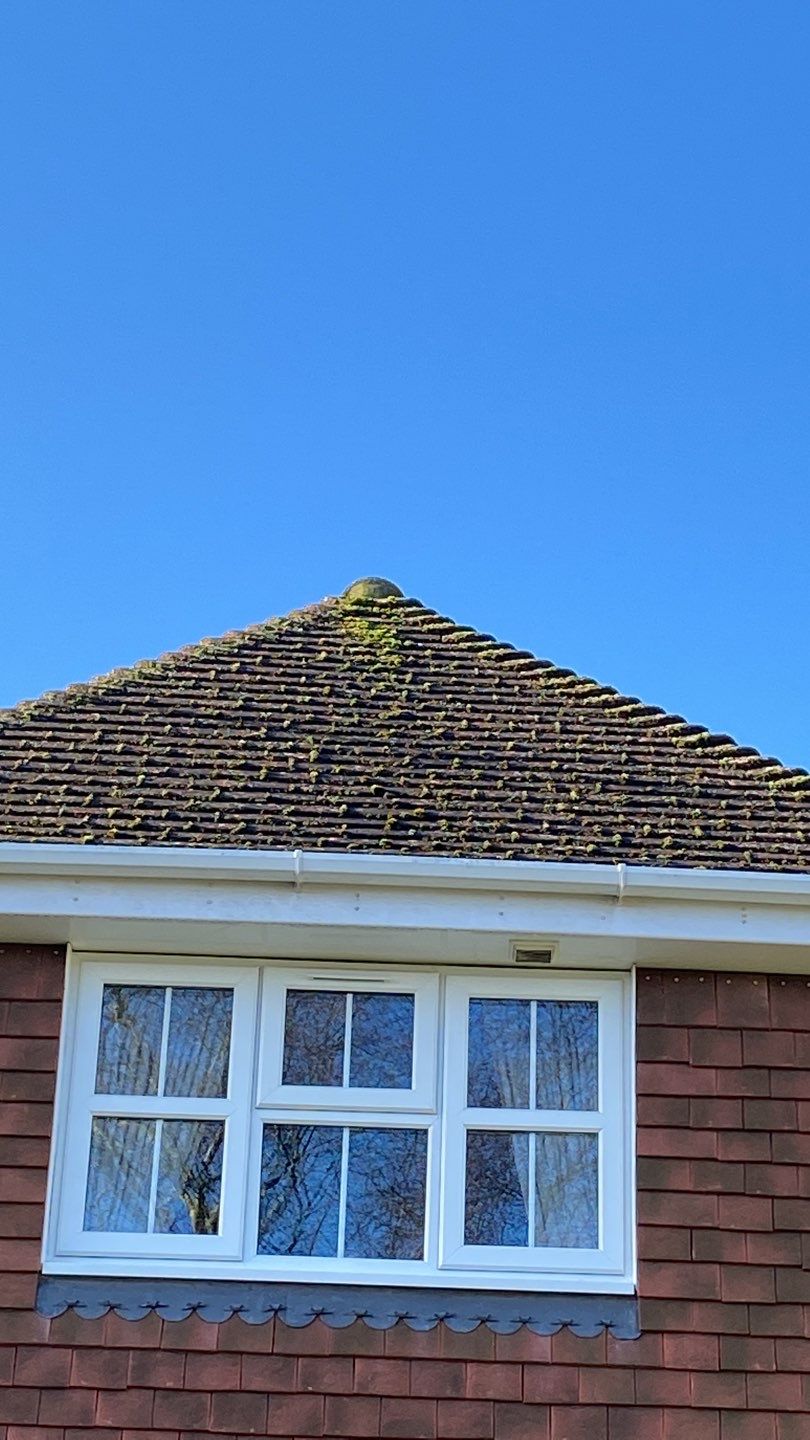Moss removal and biocide treatment using Moss Scraper Blades by Ges Exterior Cleaning ltd