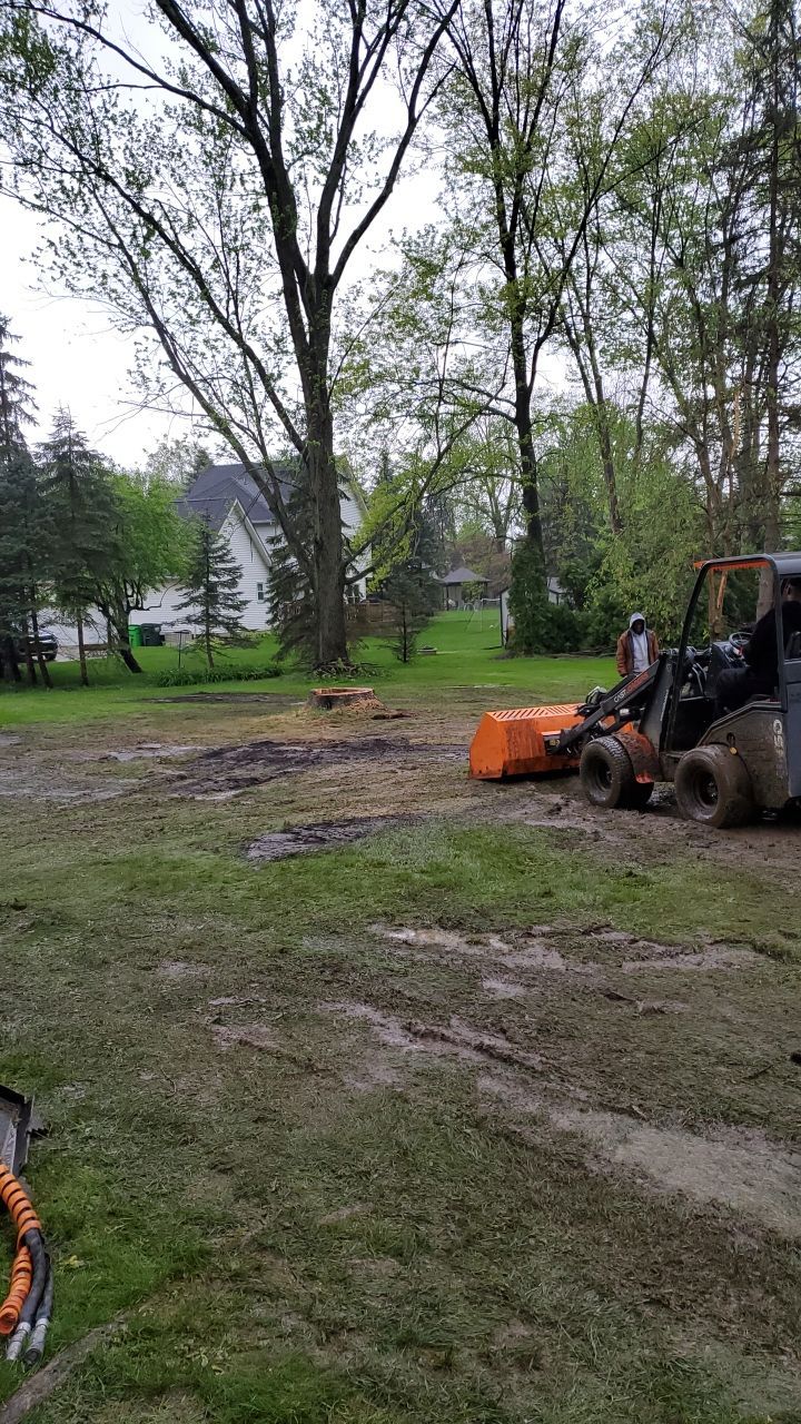 Tree Removal using Tree Removal by Mike Jones & Sons Tree Service LLC 