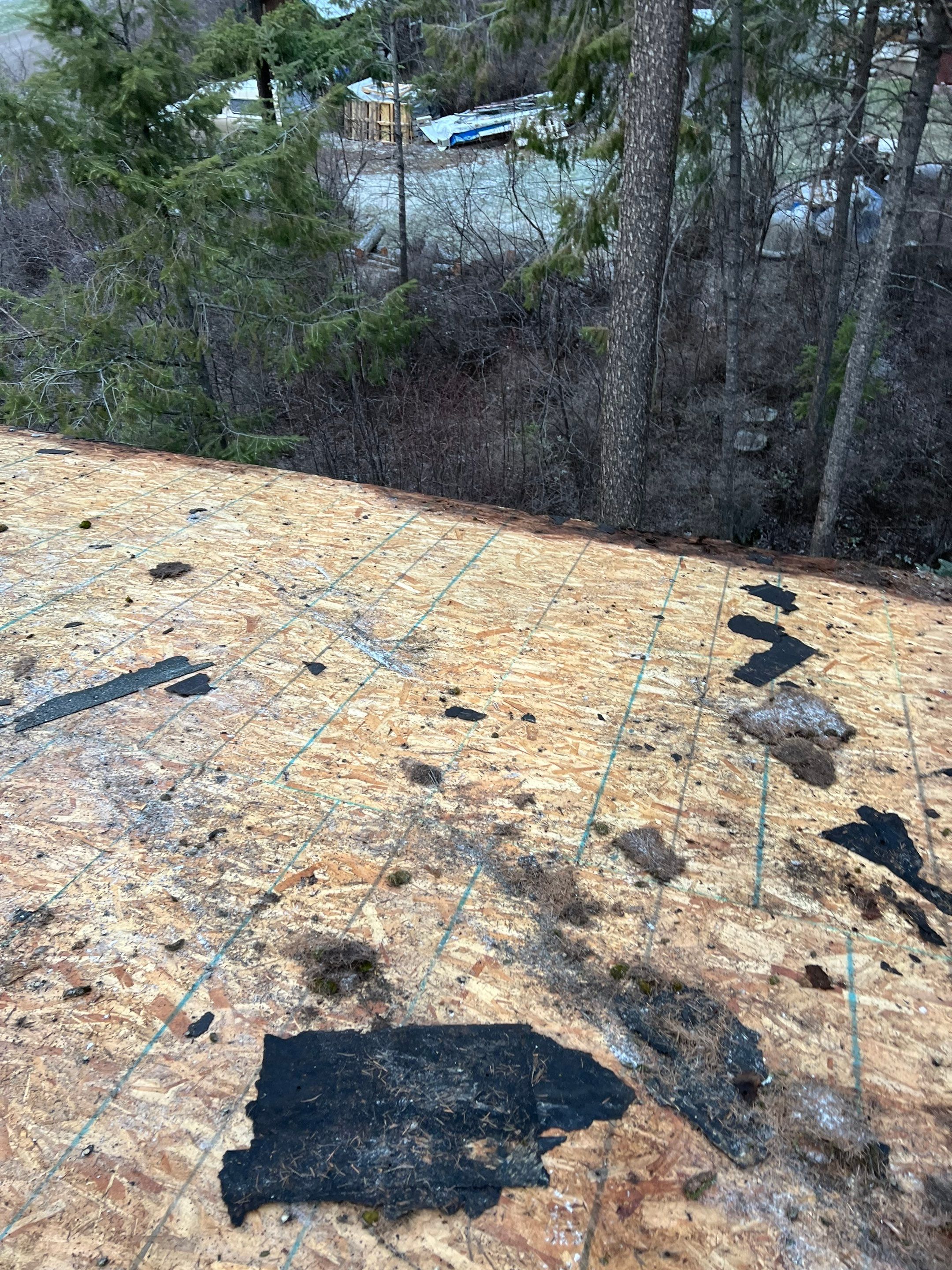 GAF Timberline HDZ - Hunter Green by Montana Roofing Solutions