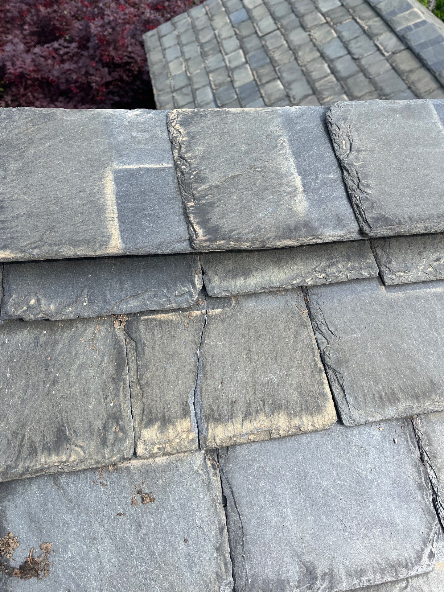 Arlington: Buckingham Slate and Carlisle Syntec TPO Roof by RM Banning, Inc.