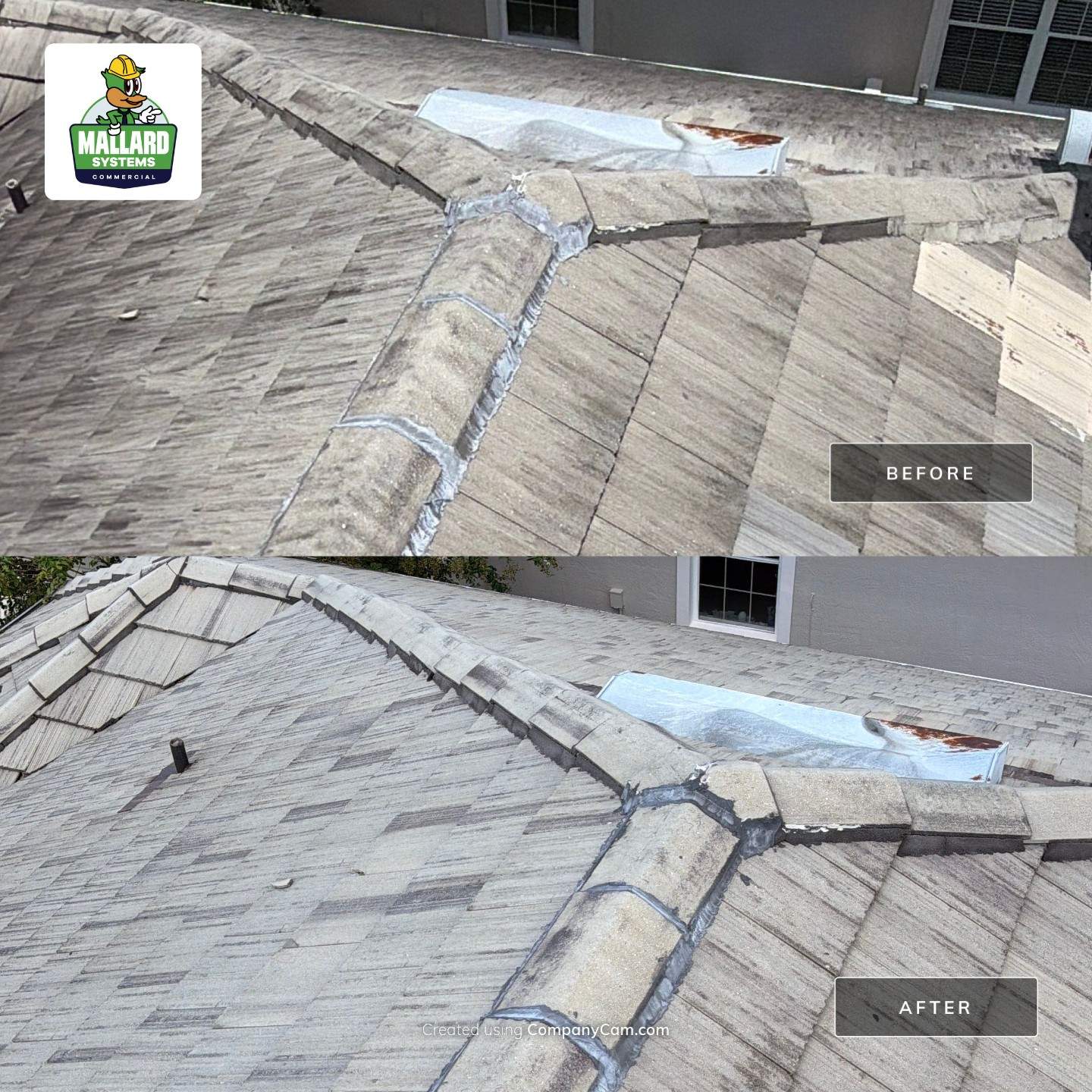 Roof Cleaning for Dr. Phillips by Mallard Systems