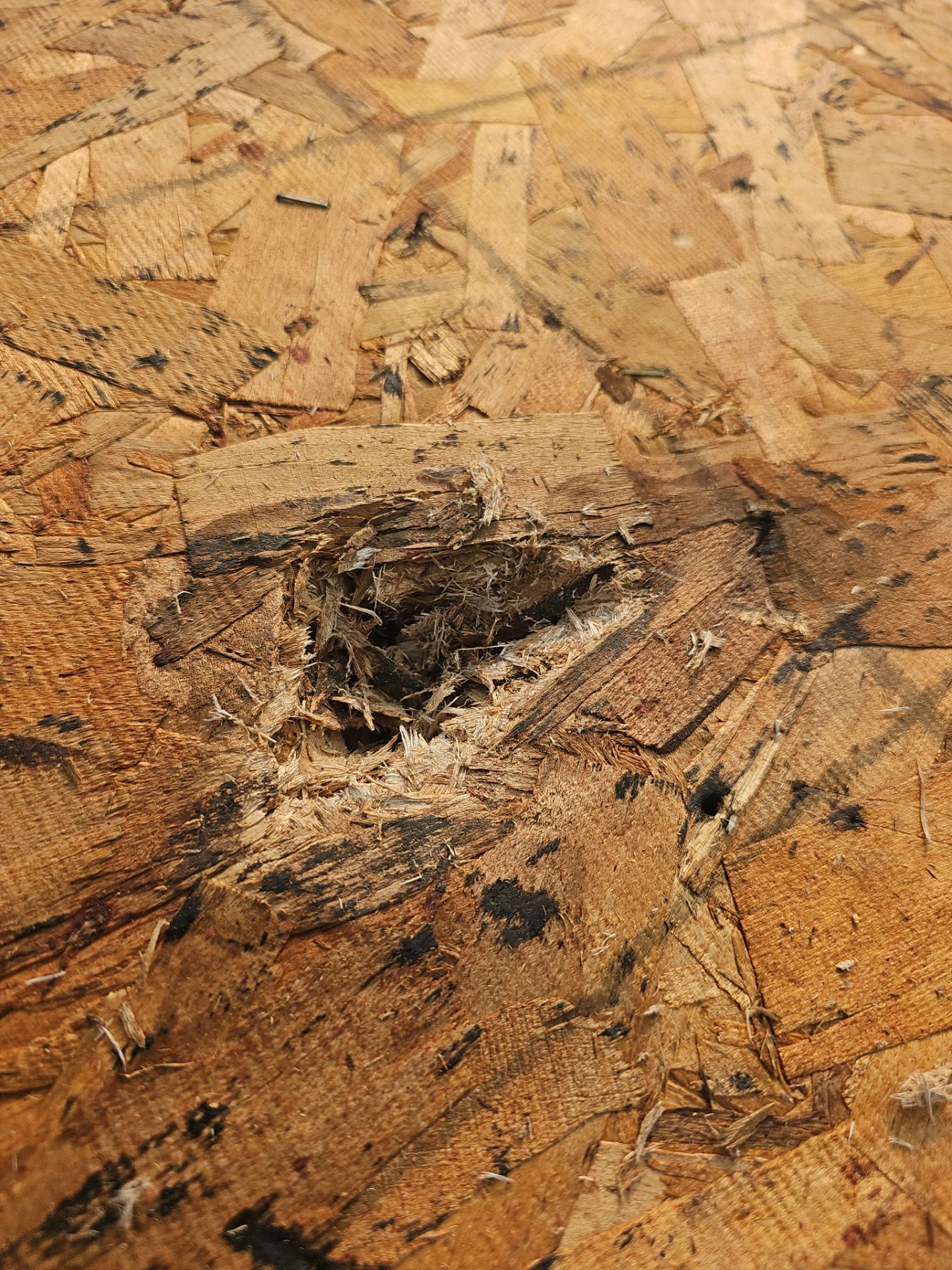Roof Replacement - Charcoal Black by Winchester Roofing