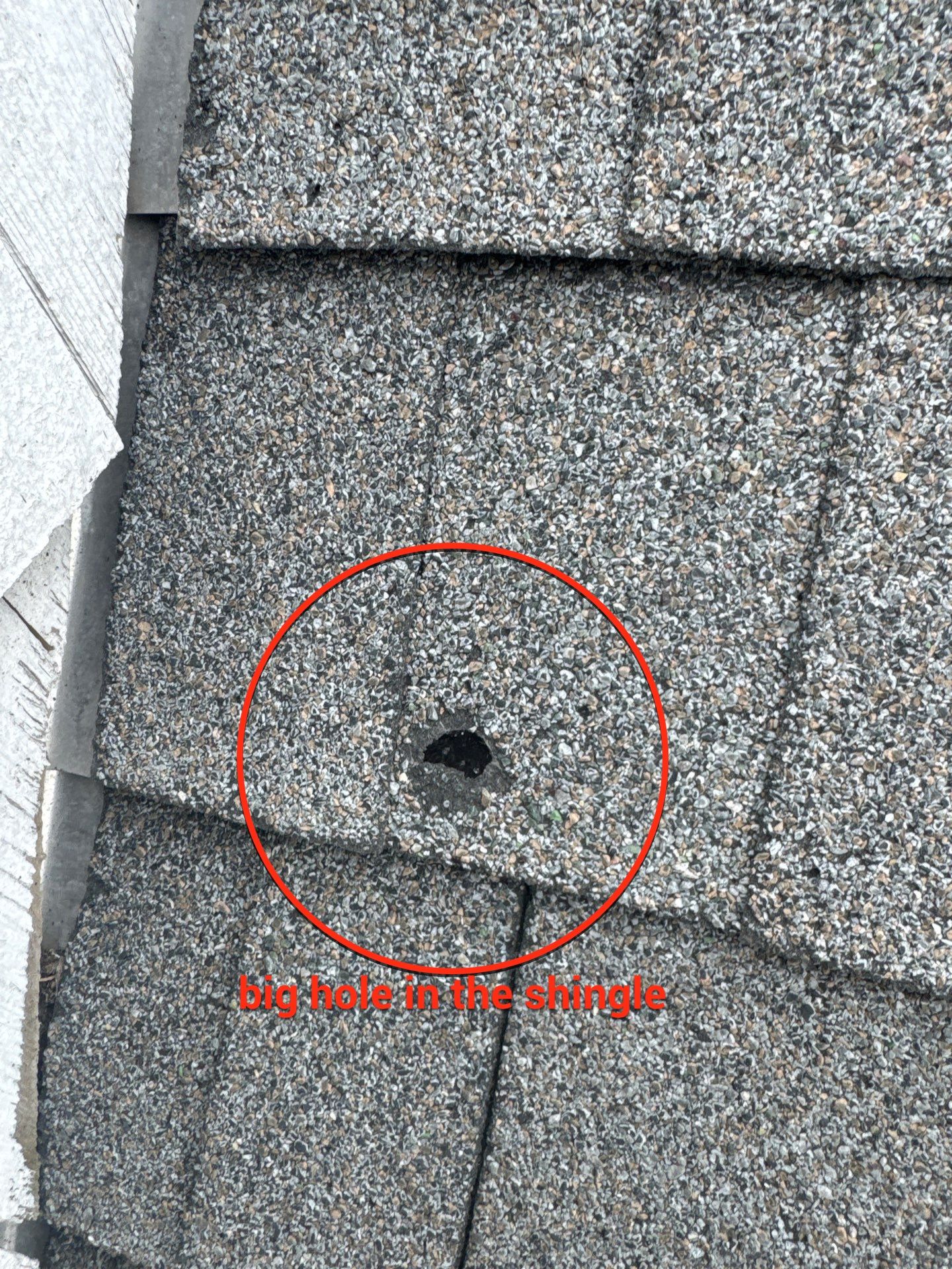 Tyee Roofing Replacement  by Tyee Construction Corp