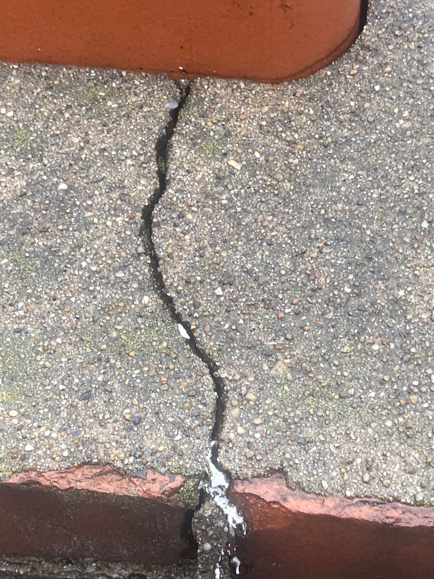 roof  by D Pacific Restoration LLC