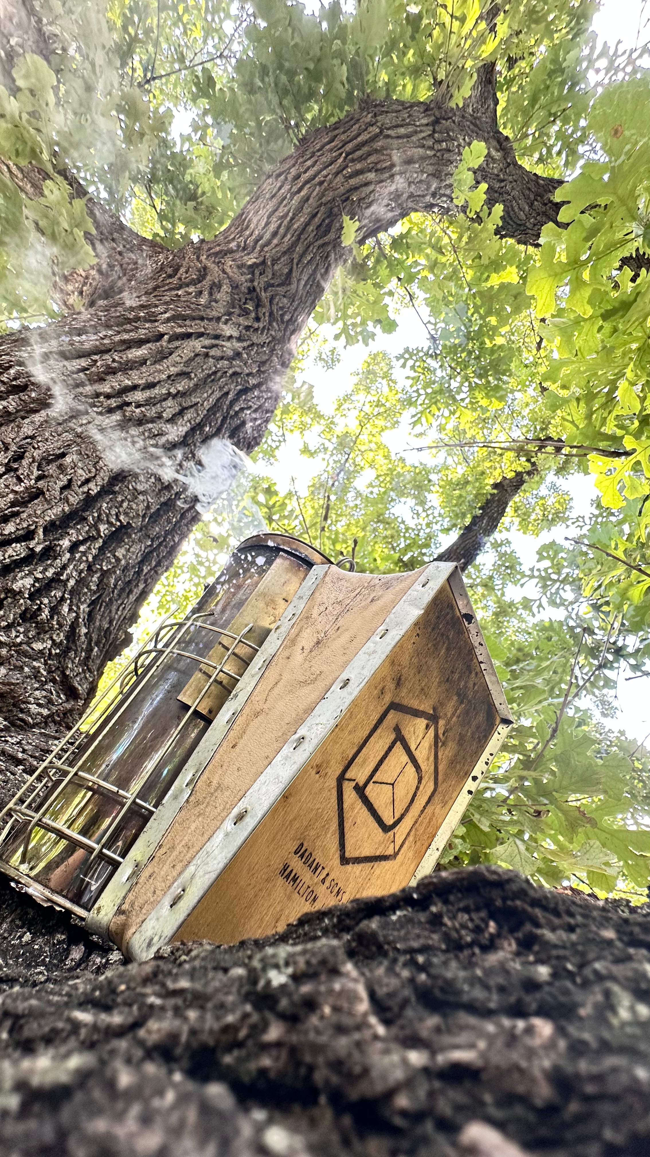 Tight Squeeze by Rockwall Honey Bee Company