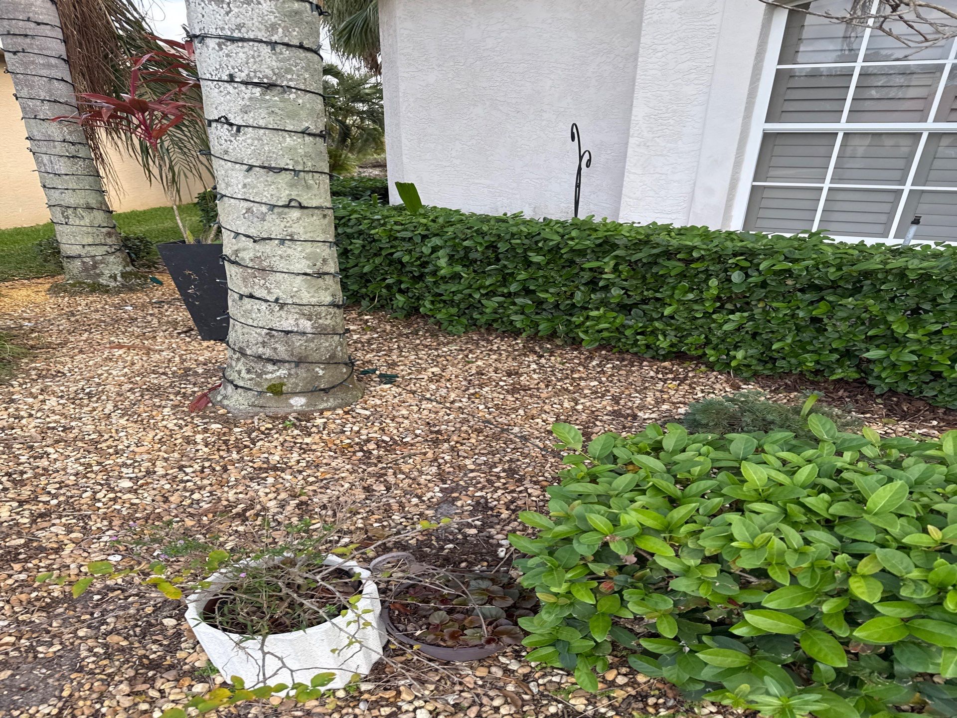 Gutter Cleaning using gutter cleaning in Sarasota FL by Gutter Professors