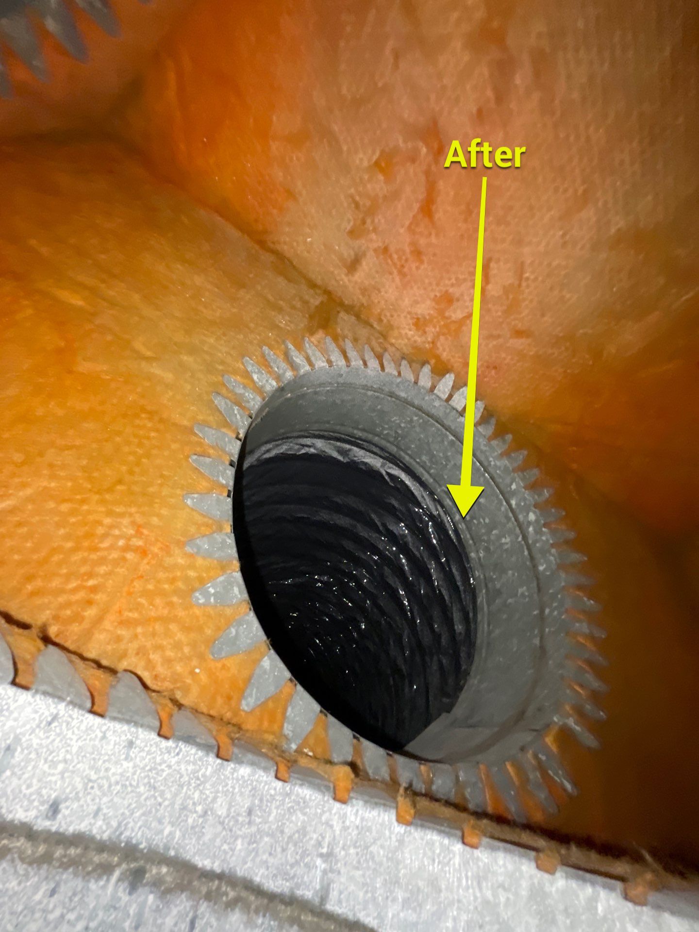 Air Duct Cleaning in Bartow by Hygienic Air, Inc