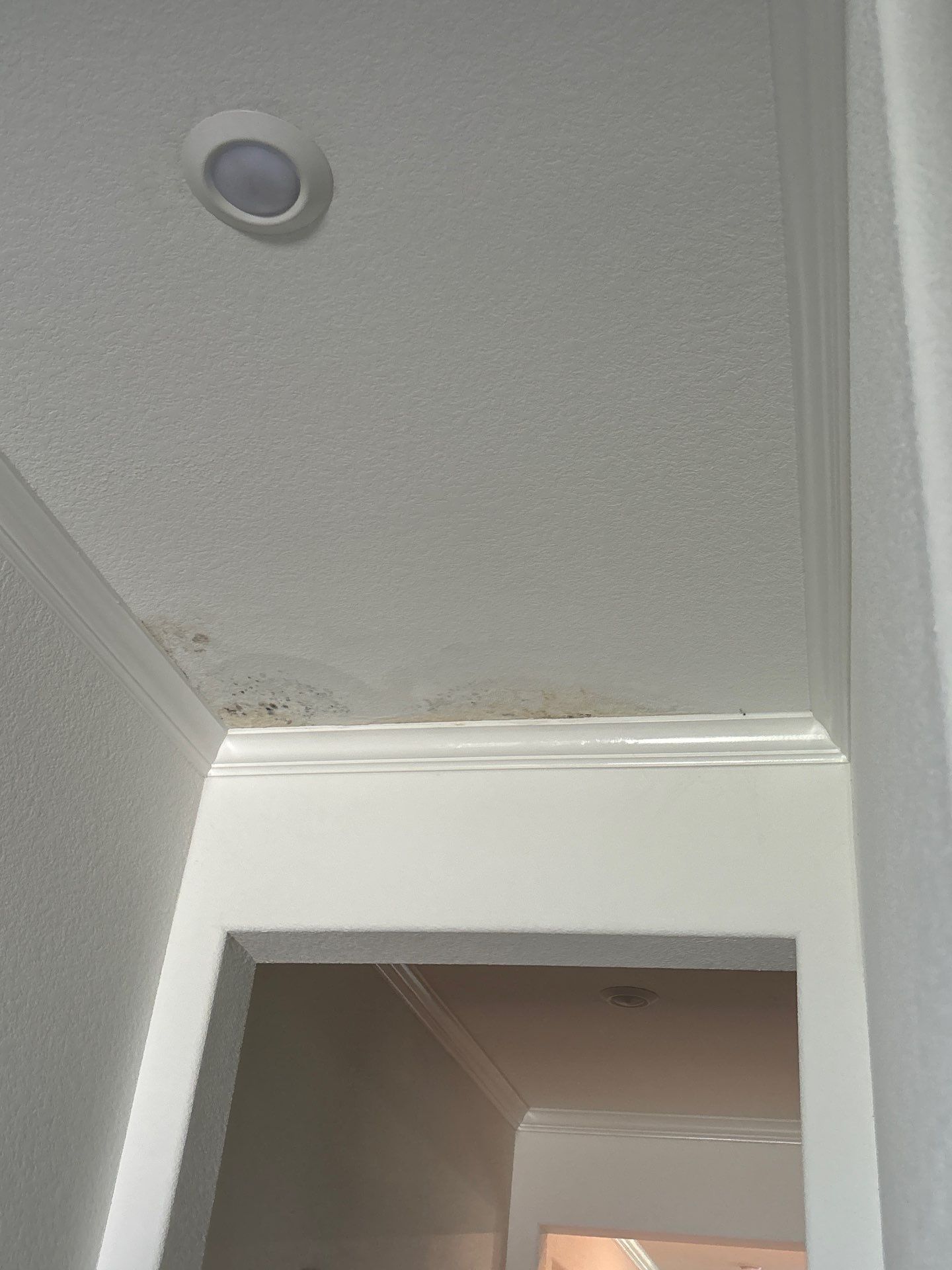 Roof Repair Baytown by Roof Repair Services LLC