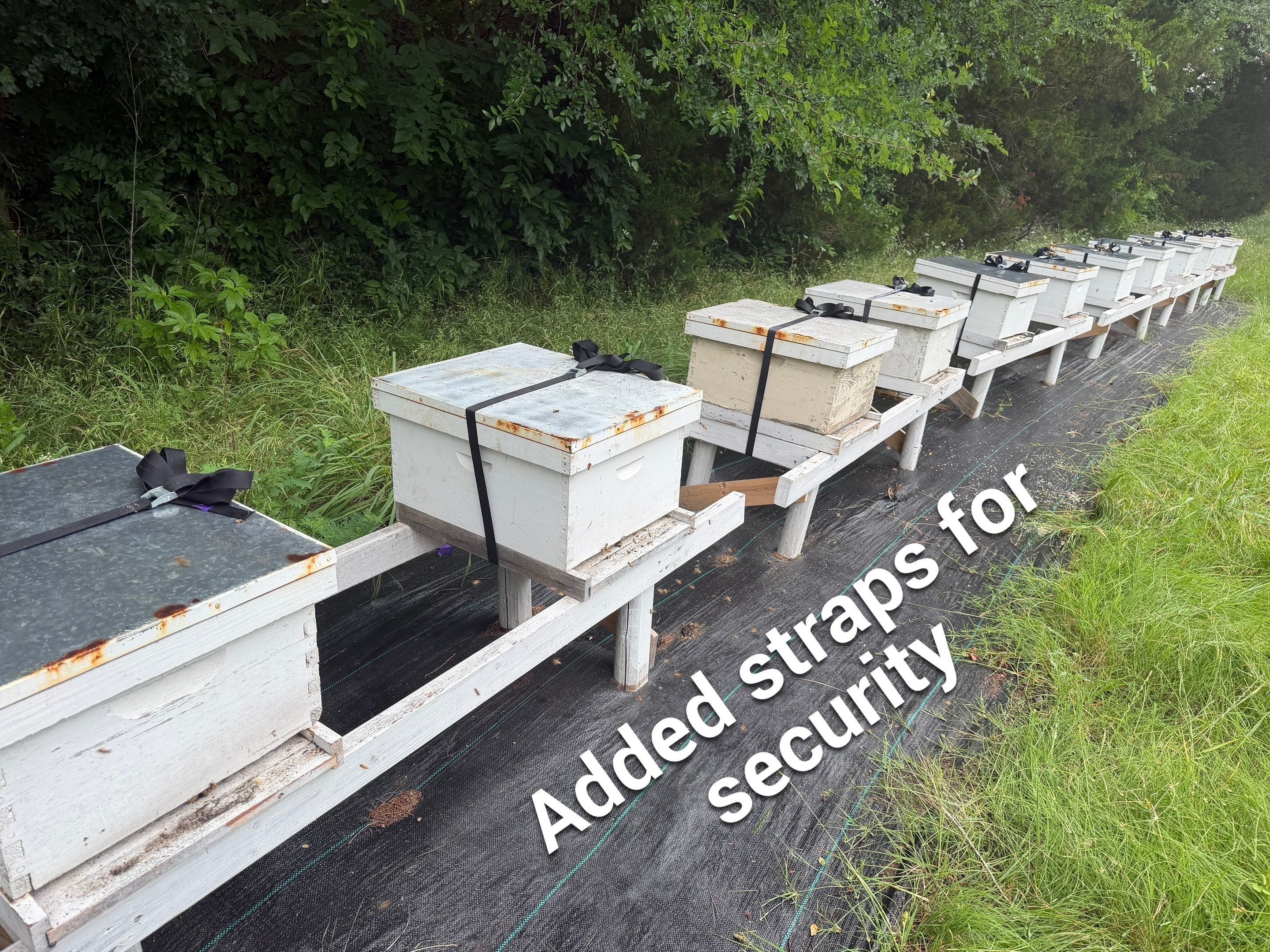 Rustic Grace Apiary in Van Alstyne, TX by Rockwall Honey Bee Company