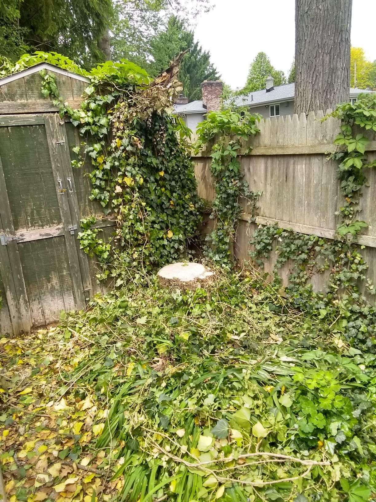 Tree Removal using Tree Removal by Mike Jones & Sons Tree Service LLC 