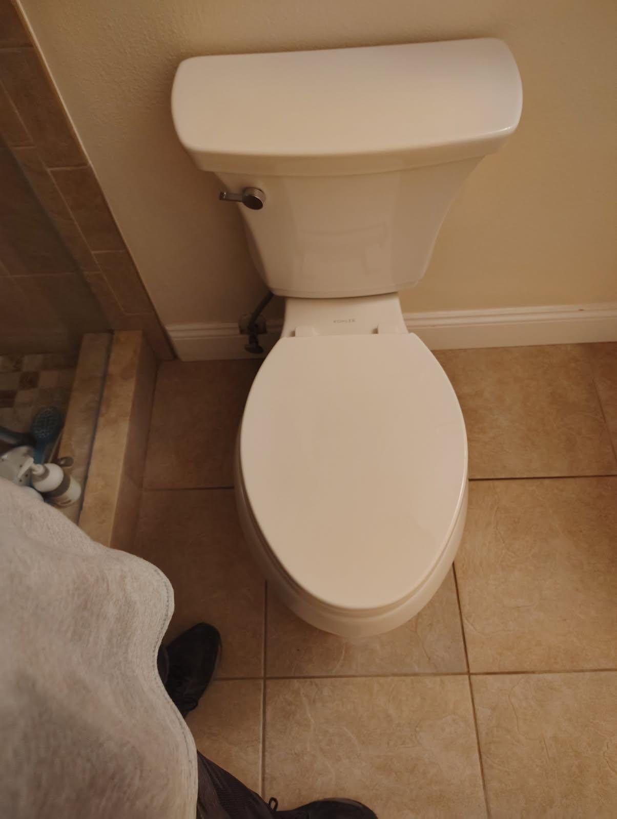 Toilet Replacement using Customer-Supplied Toilet by B&L LABOR SERVICES LLC