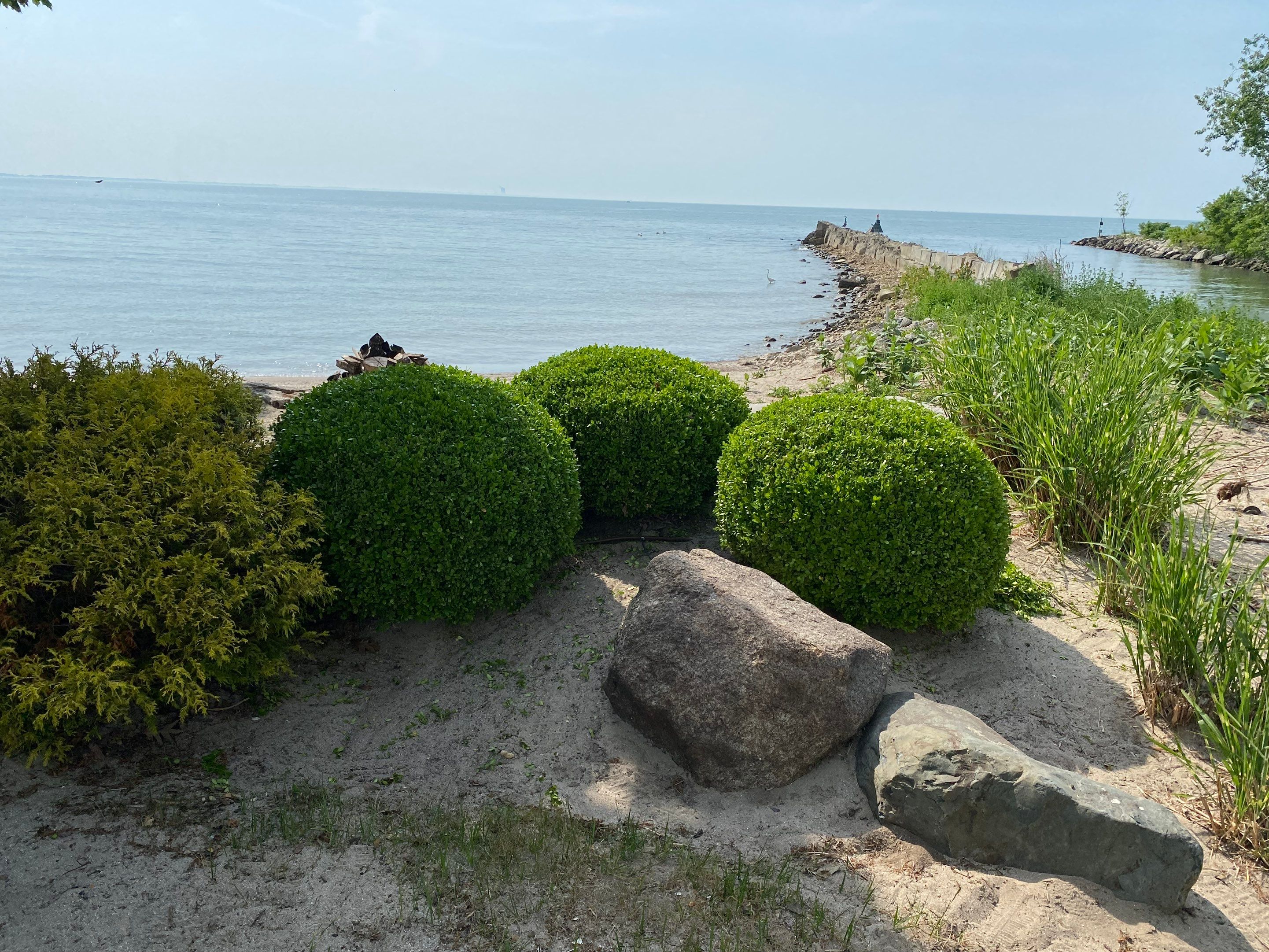 Lake House Maintenance by Elm Rose Gardens