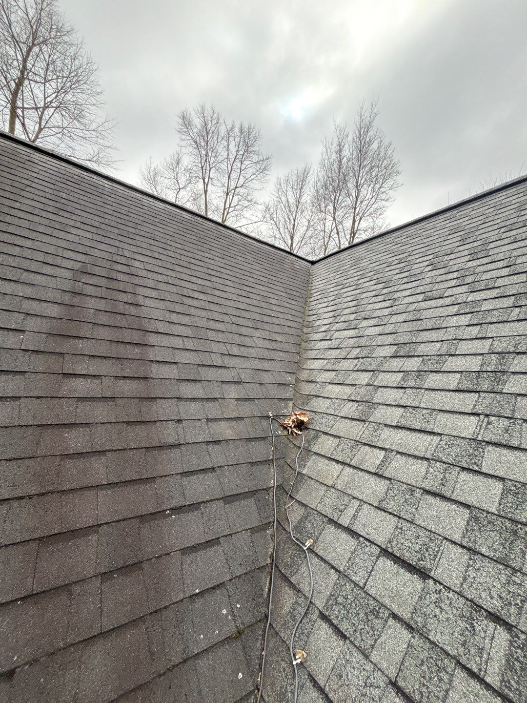 Zeeland Michigan Project by Property Revolution 