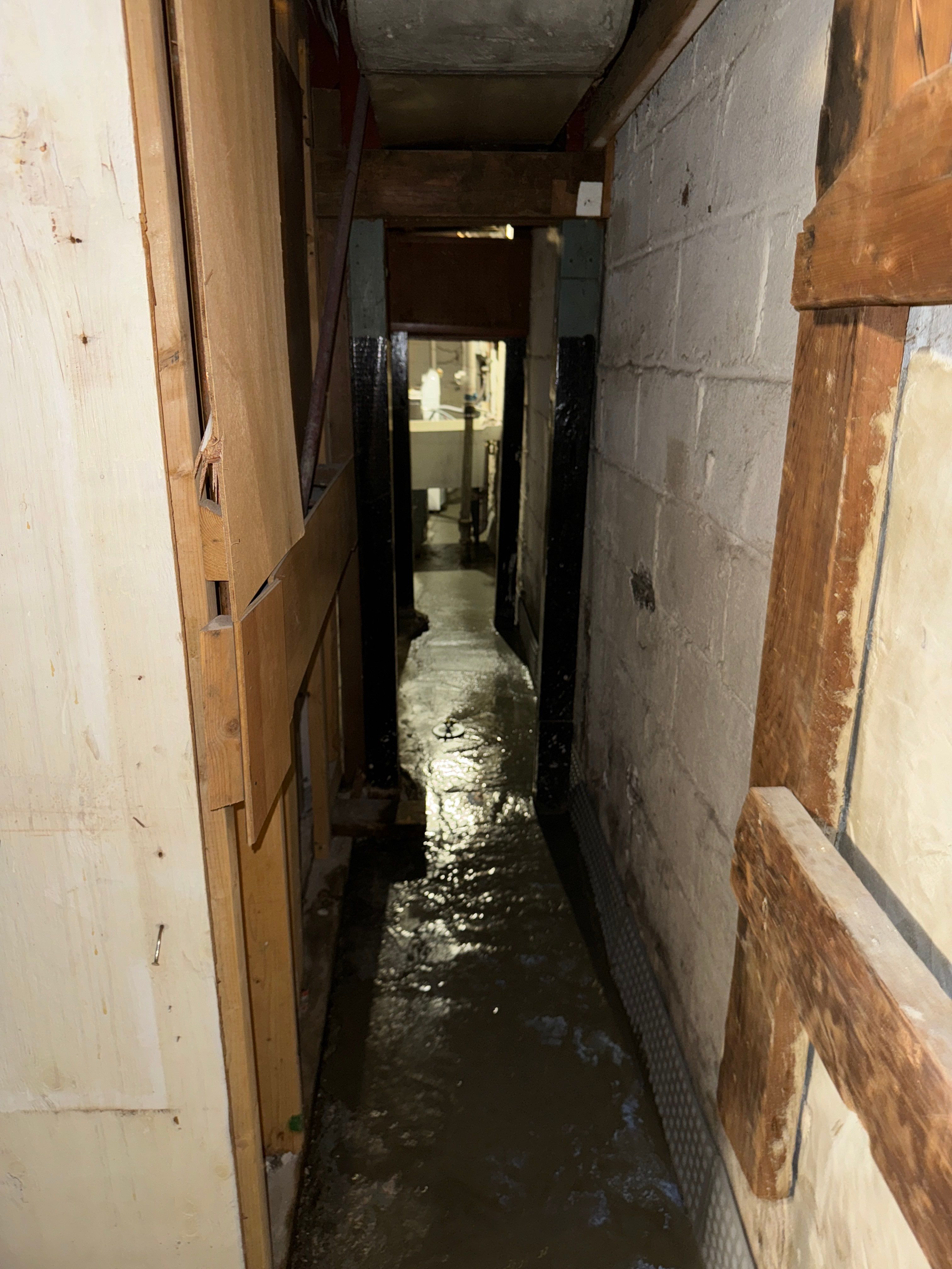 Interior French Drain & Mold Remediation Little Falls NJ by Pure Service Pro, LLC 