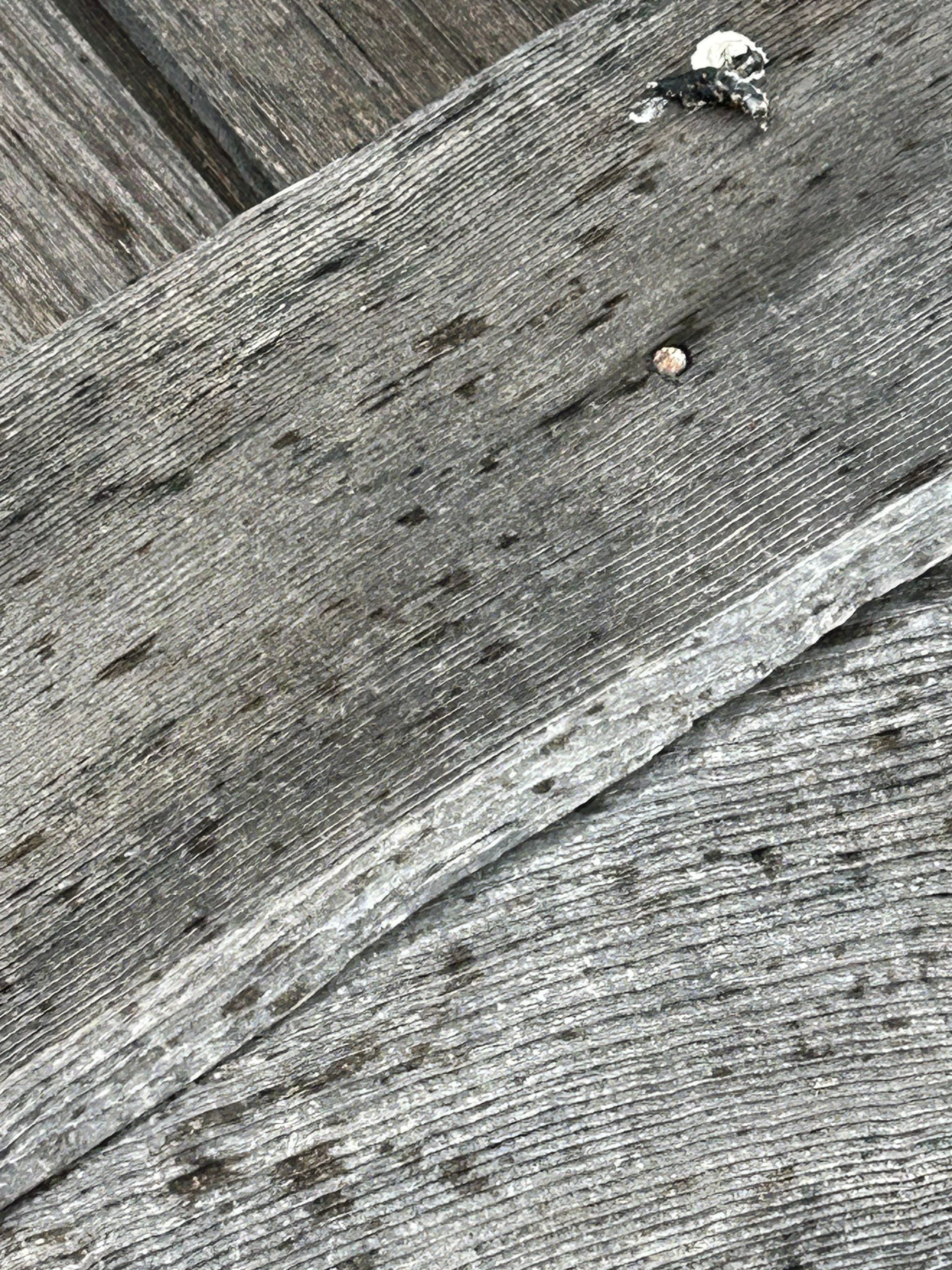 Project in Seattle by Connolly Construction Company