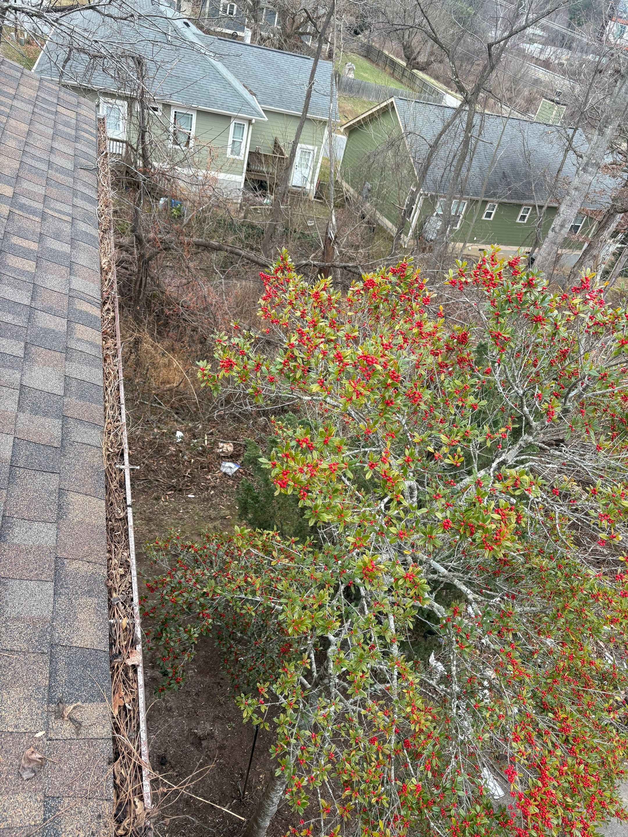 Commercial gutter cleaning Asheville before photo with filled gutters