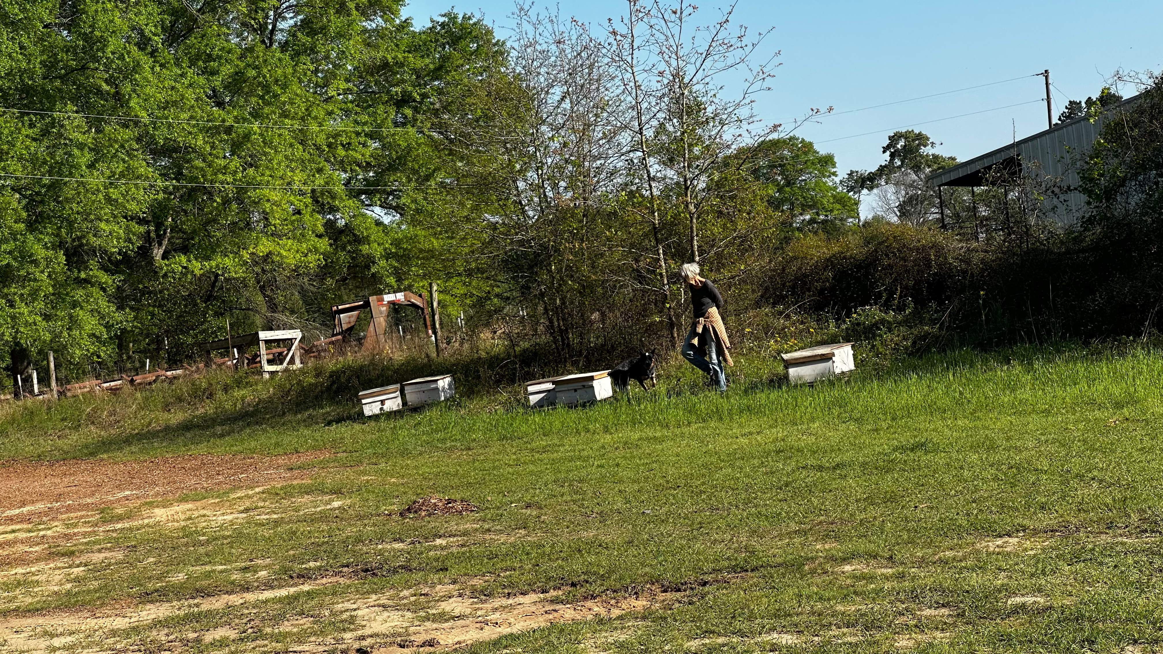 BeeGirl ETX HQ by Rockwall Honey Bee Company