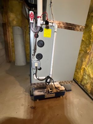 Project in Randolph