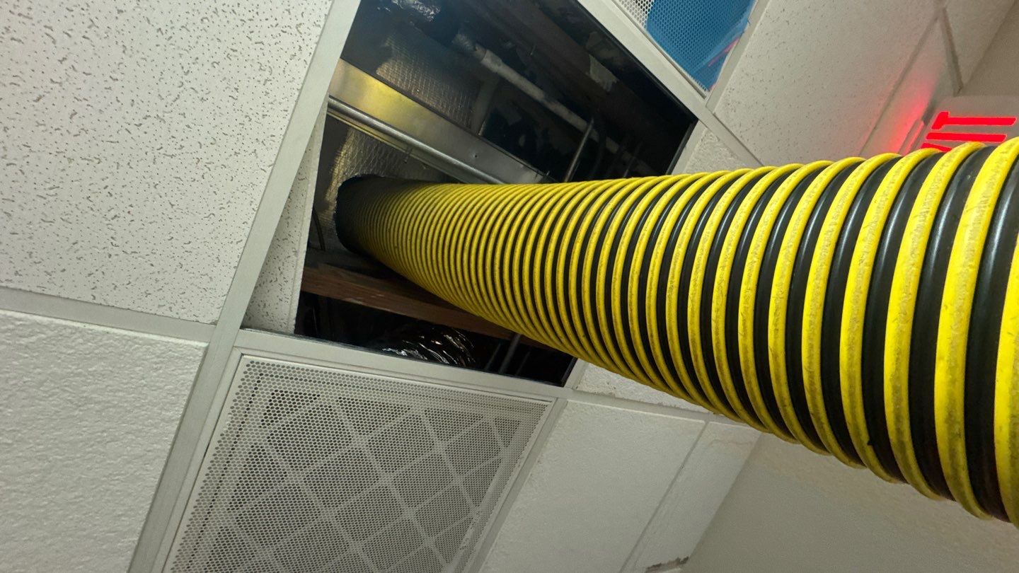Commercial Air Duct Cleaning in Windermere by Hygienic Air, Inc